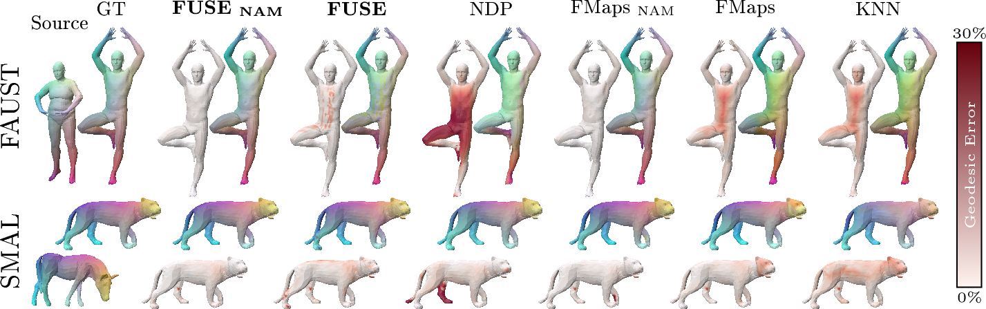 Figure 8: Qualitative evaluation: We report a pair of shapes with visualization of the p2p as transfered colormap and in terms of the geodesic error visualized via a hot-colormap. We note the lower but less smooth error of Ours compared to FMaps.