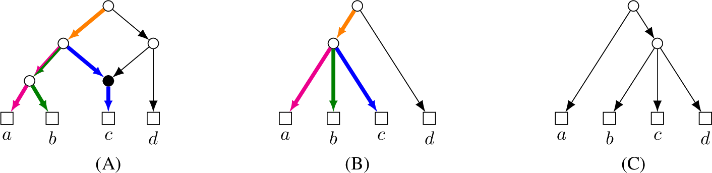 Figure 4: The network N depicted in (A) softly displays the tree T depicted in (B); they are a \mathtt{YES}-instance of Soft Tree Containment. However, N does not softly display the tree depicted in (C). In (A) and (B), the colors of arcs indicate how to embed T into N. This intuition will be formalized as follows: The colored arcs of T form a downward-closed subforest whose top-arc set consists of the orange arc. Each arc of this downward-closed subforest is mapped to the path of the corresponding color in N by a soft pseudo-embedding. The magenta path and the green path in N are not arc-disjoint; however, they are eventually arc-disjoint. (This is enabled by (SPE[spe:fork-eventually-disjoint]) in 9.)