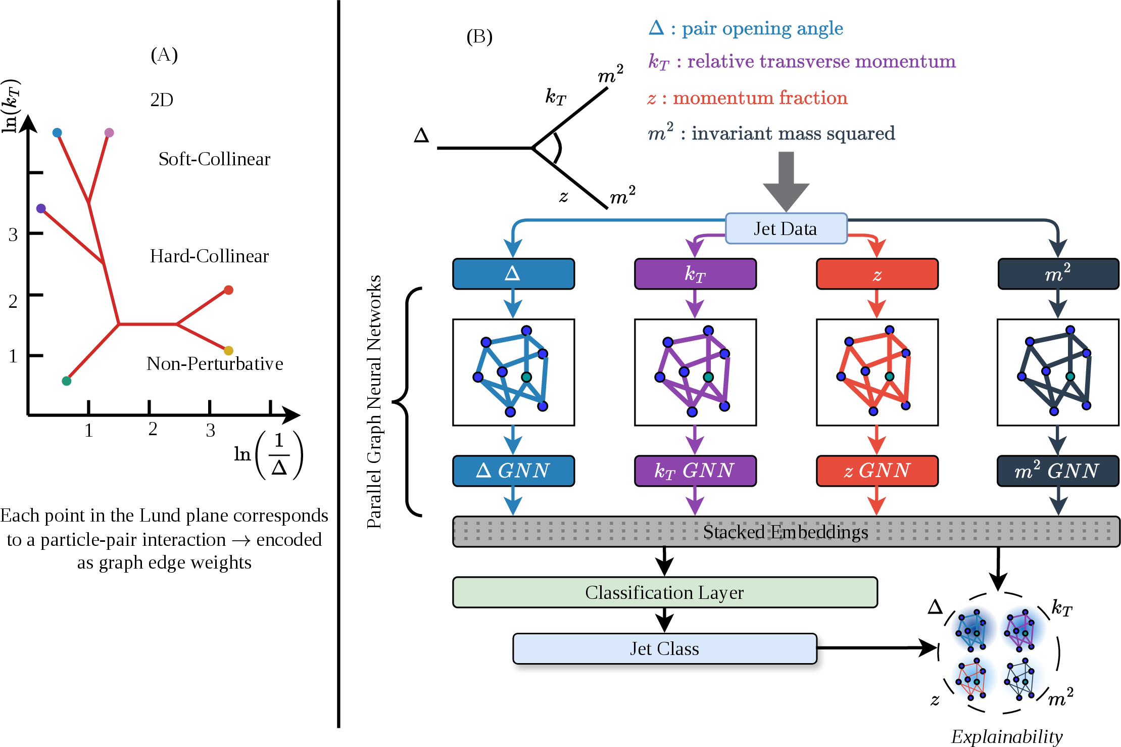 Figure 1: (A) Each particle-pair interaction is mapped onto the Lund plane, where soft-collinear, hard-collinear, and non-perturbative regions encode the underlying splitting kinematics and serve as graph edge weights. The plane follows the convention of [8]; KIGNet uses \ln\Delta rather than \ln(1/\Delta) (a sign flip with no loss of expressive power; see Section 3.3). (B) Four kinematic variables, angular separation (\Delta), relative transverse momentum (k_T), momentum fraction (z), and invariant mass squared (m^2) (Eqs. 3 6 ), define parallel edge-weighted graph views processed by four independent GNNs. The resulting embeddings are stacked and passed to a classification layer, with an auxiliary branch providing Grad-CAM explainability (Section 3.6). Full architecture details are given in Figure 3 and Section 3.4.
