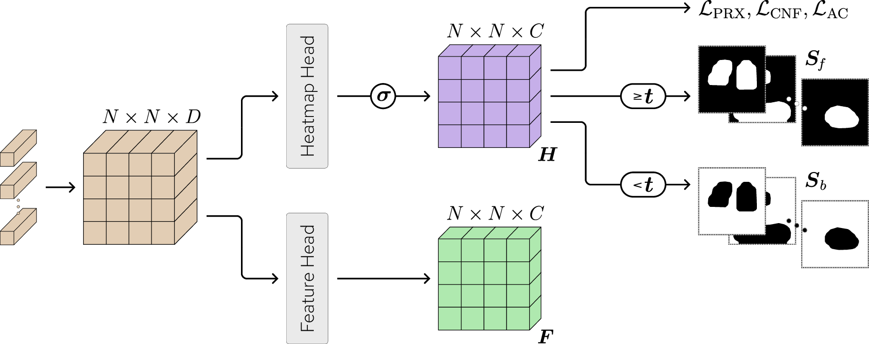 Figure 6: Illustration of the SegmentCAM module’s feature and heatmap extraction. The output patch tokens are first reshaped to an N \times N \times D tensor. Then, in the heatmap branch, a convolutional head with sigmoid activation produces a heatmap tensor \boldsymbol{H} of shape N \times N \times C. A threshold t is applied to \boldsymbol{H} to produce foreground and background segmentation maps \boldsymbol{S}_{\negthinspace f} and \boldsymbol{S}_{b} respectively. Finally, \boldsymbol{H} is used to calculate the mask proximity loss \mathcal{L}_{\mathrm{PRX}}, the mask confinement loss \mathcal{L}_{\mathrm{CNF}}, and the area constraint loss \mathcal{L}_{\mathrm{AC}}. Then, in the feature branch, a convolutional head produces feature tensor \boldsymbol{F} of shape N \times N \times C which is used in the background activation suppression methodology.
