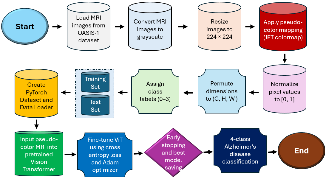 Figure 2: PseudoColorViT-Alz preprocessing pipeline. Overview of the complete data preprocessing workflow, illustrating the steps from raw brain MRI image acquisition, grayscale conversion, and pseudo-color enhancement to normalization, dataset construction, and input preparation for Vision Transformer–based multiclass Alzheimer’s disease classification.