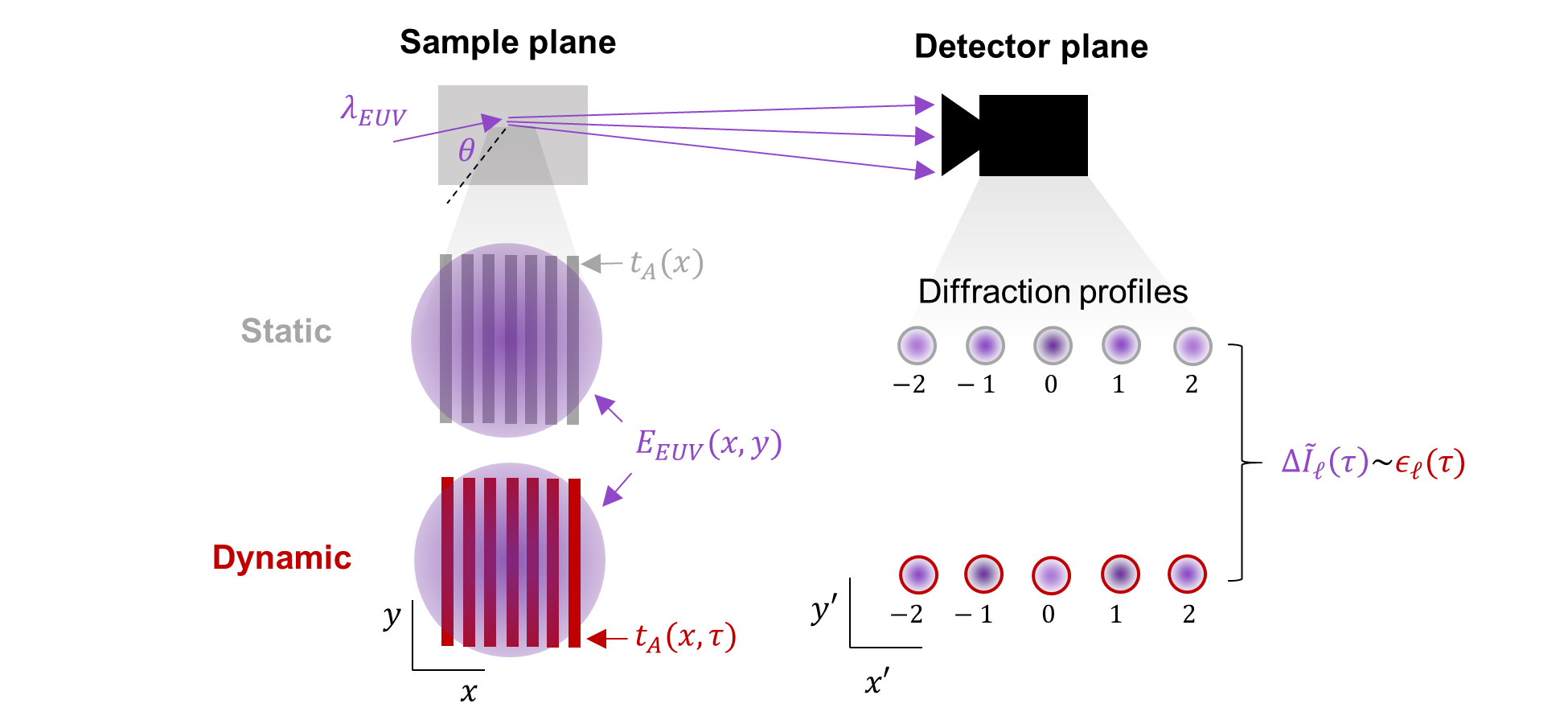 Figure 1: Dynamic imaging of periodic structures. In the sample plane, light diffracts from a periodic profile subject to a small time-dependent perturbation, creating a dynamic diffraction pattern on the detector. Under certain conditions, the change in each far field diffracted order, \Delta \tilde{I}_{\ell}(\tau), can be related to the corresponding Fourier component of the perturbation, \epsilon_{\ell}(\tau).