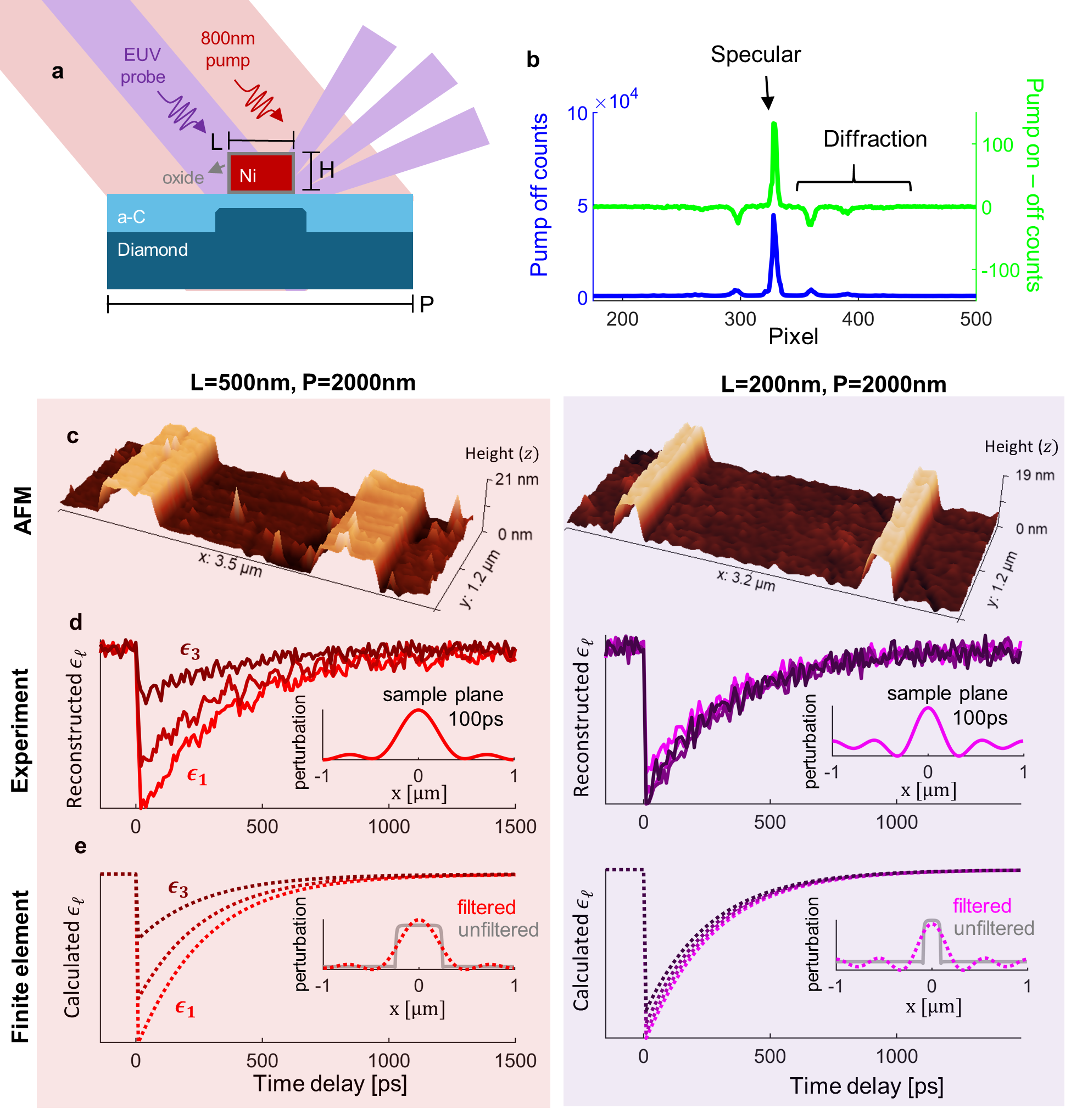 Figure 5: Experimental reconstruction of unit cell dynamics for a nickel grating on diamond (a) Schematic of the dynamic EUV scatterometry experiment and one unit cell of the nickel grating on the diamond substrate with oxide and amorphous carbon interlayer. (b) Vertically binned EUV diffraction pattern on the CCD camera with the pump blocked (blue). Difference in counts with the pump unblocked versus blocked (green) 100 ps after the excitation. (c) Example AFM scans for the nominal L=500 nm, P=2000 nm and L=200 nm, P=2000 nm gratings used to extract linewidth, height and surface roughness. (d) Reconstructed \epsilon_{\ell} as a function of pump-probe time delay for both gratings. Each curve shows a different \epsilon_{\ell} from low (bright) to high (dark). The positive and negative diffracted orders are averaged in the reconstruction. The insets show the vertical surface displacement (u_z) calculated using Eq. 16 at a 100 ps delay. (e) The corresponding finite element calculation of \epsilon_{\ell} using Eq. 16 , normalized to the same average value as the experimental reconstruction. The insets show the vertical surface displacement at 100 ps. Gray curves show the full finite element simulation, while red and purple curves show the result of a low pass spatial filter capturing only those Fourier components which can be reconstructed experimentally.