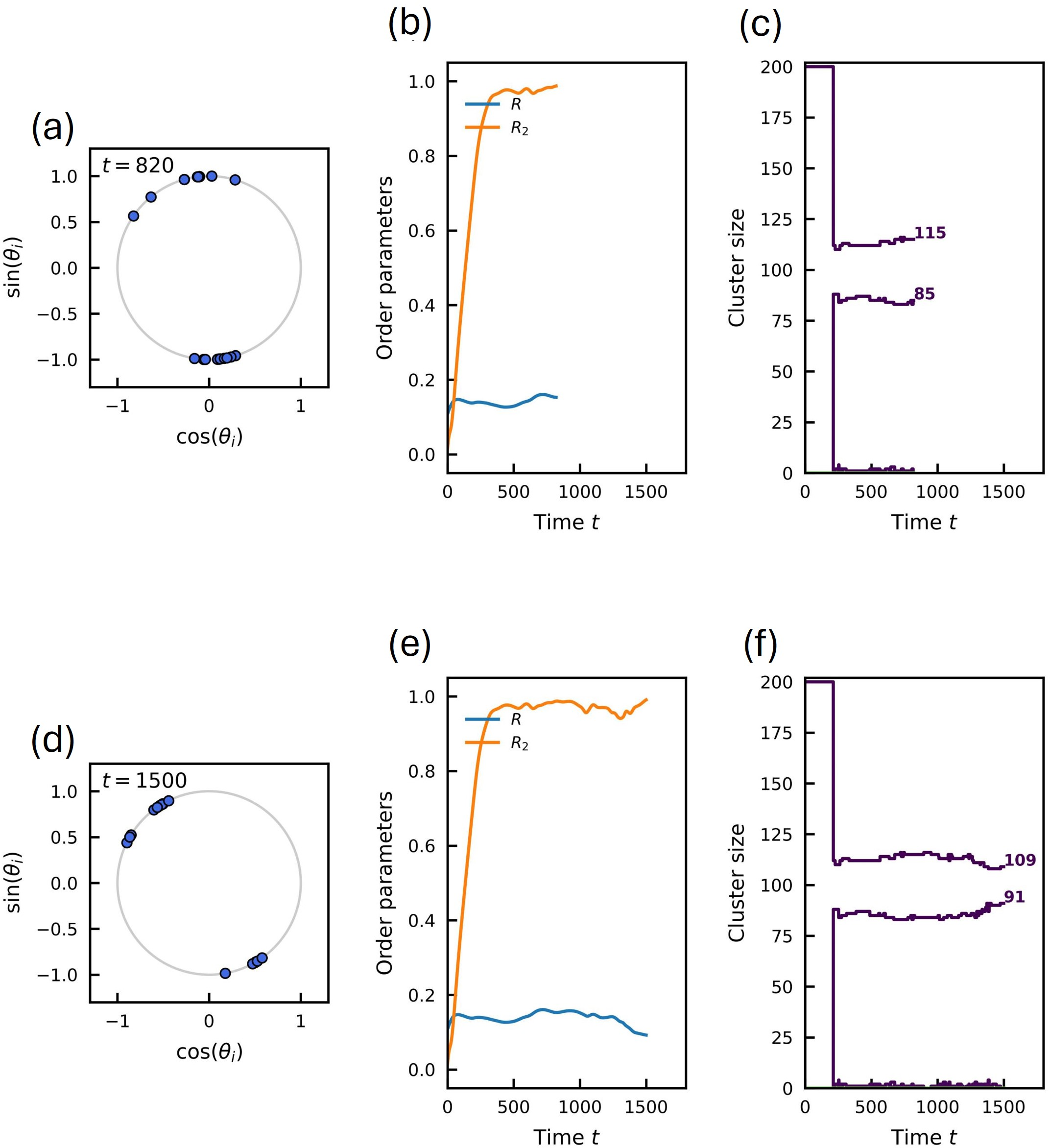 Figure 8: Snapshots of the system state before and after a switching event for the larger system size N=200. (a–c) State at t=820 (before the switch). (a) Instantaneous phases on the unit circle; note that the two clusters are less perfectly synchronized than in the N=20 case. (b) Time evolution of order parameters. (c) Cluster sizes showing a partition of 115 and 85 oscillators. (d–f) State at t=1500 (after the switch). (d) Instantaneous phases. (e) Evolution of order parameters. (f) Cluster sizes have shifted to a partition of 109 and 91 oscillators. Compared to N=20, the fluctuations in cluster size are more frequent, involving multiple oscillators switching affiliation.
