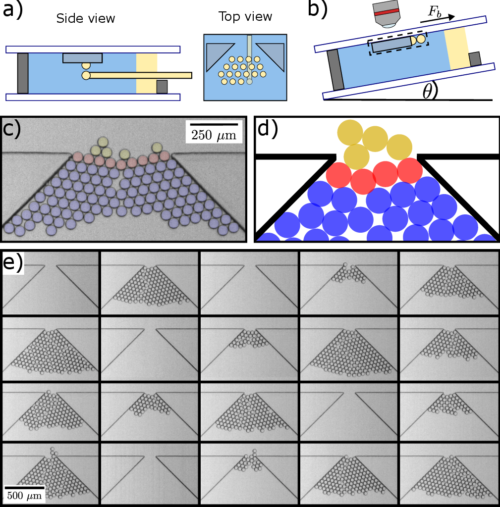 Figure 1: a) Schematic of the experimental chamber. Droplets float into the hopper while the chamber is held horizontal. b) The chamber is rotated to a desired tilt angle which drives the buoyant droplets through the hopper. c) Representative experimental image showing a clog with a false color overlay: red droplets indicate the clogging arch, blue droplets represent remaining droplets, yellow droplets remain attached to the aggregate due to cohesion (w/d = 8.8, w/\delta = 2.86 \pm 0.07). d) Representative simulation image (w/d=3.25, w/\delta = 3.54). e) An array of images of the final state of the hopper for 20 trials with w/d = 3.0, C_\text{m} = 71 mM; here 15 out of 20 experiments clogged, so P_\textrm{clog} = 0.75.