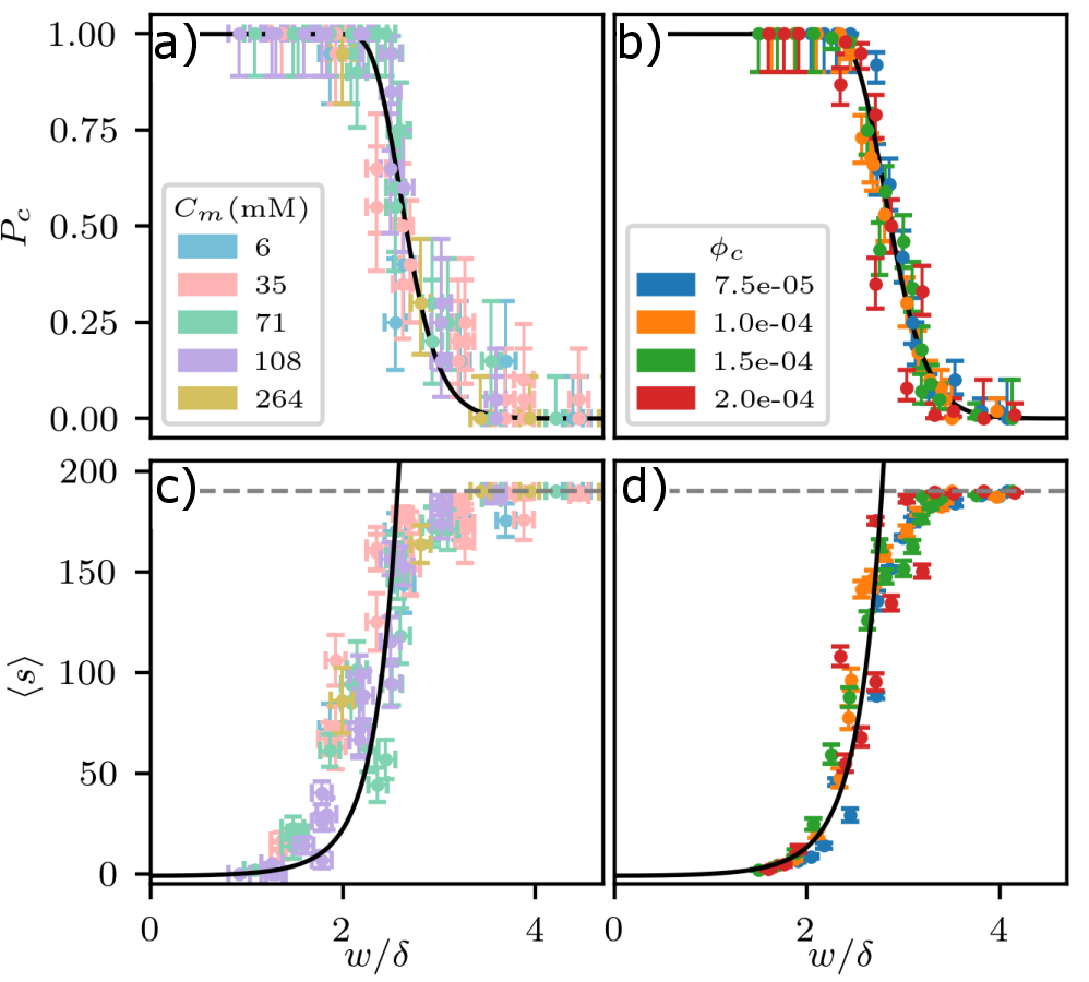 Figure 3: Probability of clogging as a function of w/\delta for (a) experiments and (b) simulations. The solid lines represents a fit to Eq. (3 ). (c) Mean avalanche size before a clog occurs as a function of w/\delta for experiments and (d) simulations. Solid lines are Eq. (2 ) fit to the data. Dashed lines show a plateau at 190 droplets. Error bars on P_c are calculated based on a finite number of trials N = 20 for experiments and N = 100 for simulations for a Poisson process. Error bars on \langle s \rangle represent standard error on the mean. Error bars on \delta are representative of experimental data measuring the cohesive strength between droplets [42]. For these data, smaller w/\delta represents a smaller opening or stickier droplets, both of which make clogging likelier.