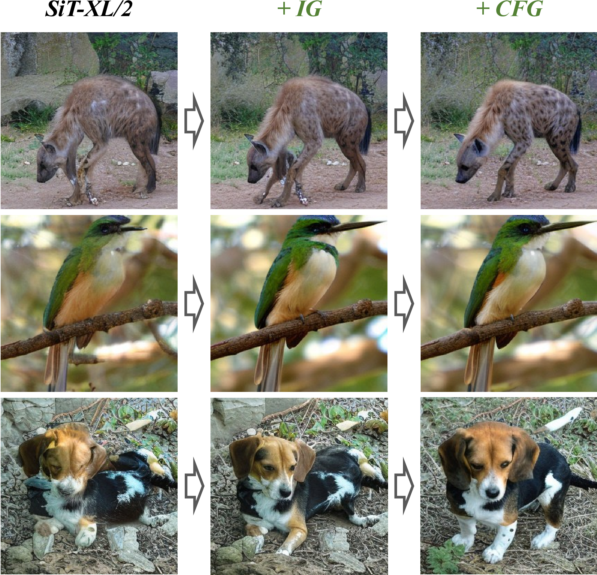 Figure 7: The combination of IG and CFG can produce better visual quality. When only adding IG, better generation results can be obtained. Incorporating CFG can further reduce the inaccurate content in the generated results.