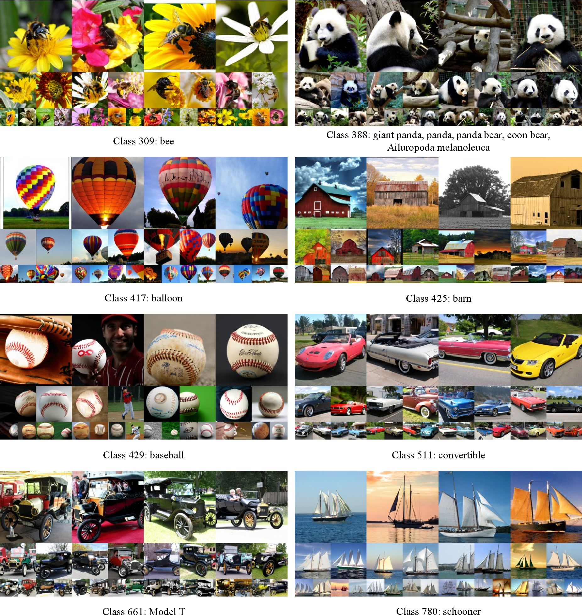 Figure 10: Uncurated visualization results of LightningDiT-XL/1 + IG (1.8) use CFG with w = 2.5.