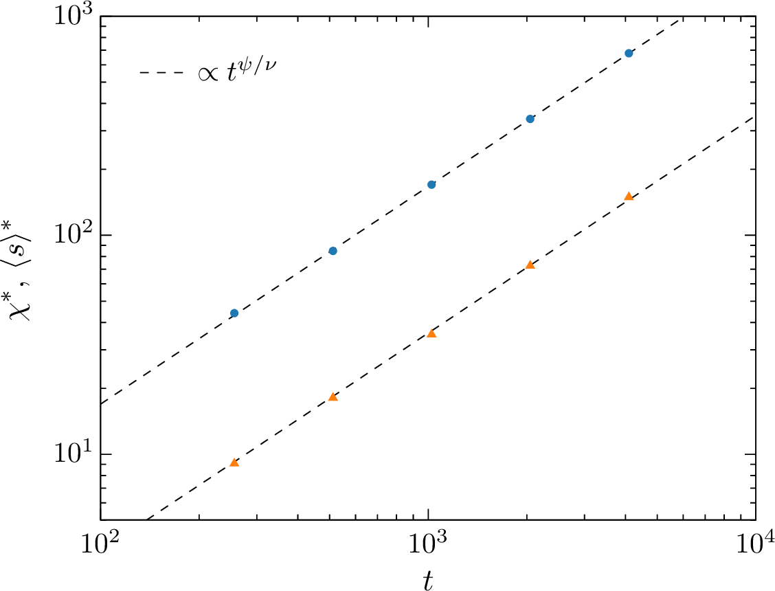 Figure 6: Scaling with t of \chi^{*} (points with \circ) and \langle s \rangle^{*} (points with \triangle) for increasing sizes t: 256,512,1024,2048,4096. Dashed lines are visual references for the scaling t^{\psi/\nu}.