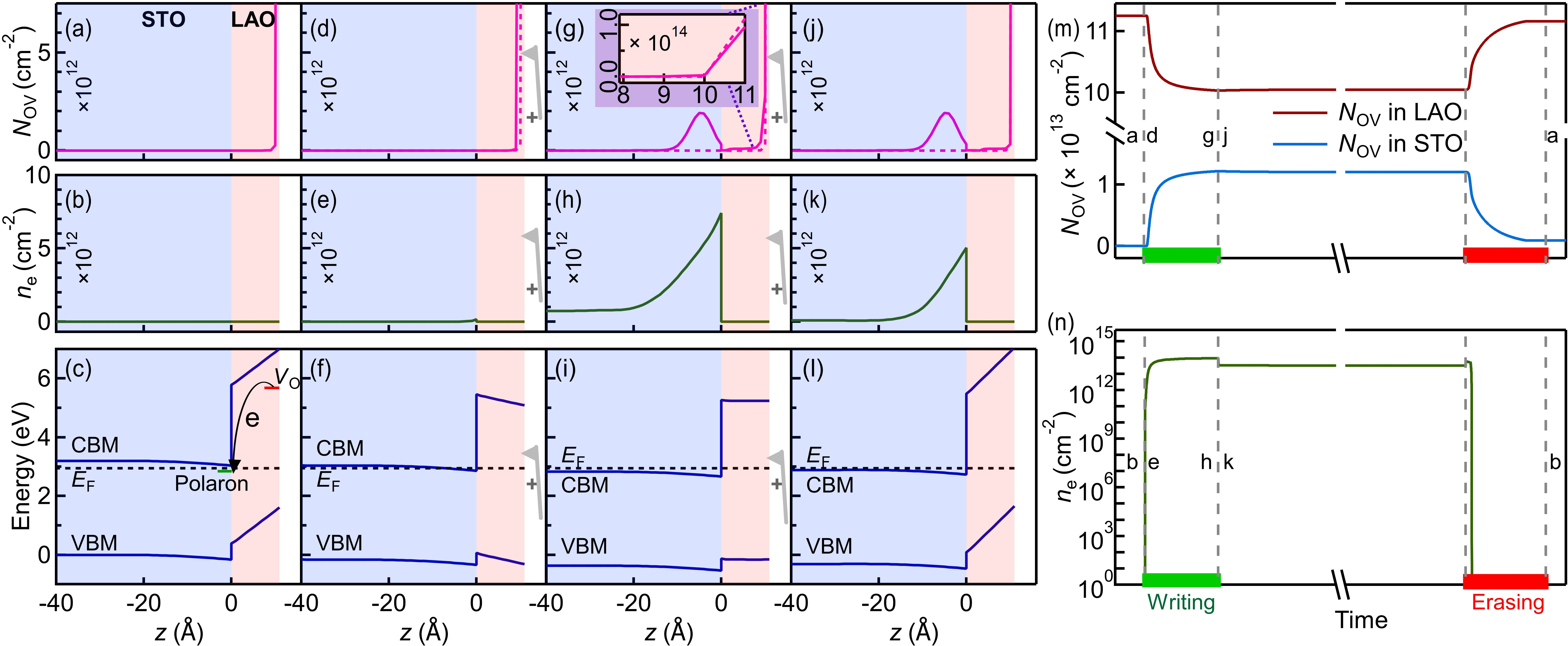 Figure 4: Drift-diffusion model of oxygen vacancy migration. (a-c) N_{\text{OV}}, n_{\text{e}}, and band alignment before writing. In (c),the green line denotes charge transition energy level of polarons, whereas the red line denotes V_{\text{O}} charge transition energy level. (d-f) N_{\text{OV}}, n_{\text{e}}, and band alignment at the onset of applying a positive bias (solid curves). (g-i) N_{\text{OV}}, n_{\text{e}}, and band alignment during the writing process (solid curves). The inset of (g) shows a zoomed-in profile near the surface. (j-l) N_{\text{OV}}, n_{\text{e}}, and band alignment after the writing process (solid curves). The purple dashed curves in (d, g, j) show N_{\text{OV}} before writing for comparison. (m) Total N_{\text{OV}} in LAO layer (red curve) and STO layer (blue curve) as a function of time. (n) Total n_{\text{e}} in STO layer as a function of time. In (m) and (n), a positive voltage is applied between the first two gray dashed lines, and a negative voltage between the last two gray dashed lines. The labels in (m, n) correspond to the stages of N_{\text{OV}} and n_{\text{e}} profile in (a-l).
