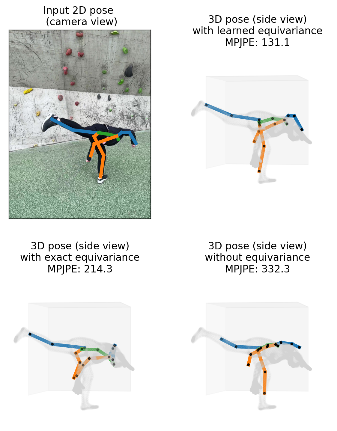 Figure 6: An example of a challenging pose with natural rotation from the EMDB 69_outdoor_cartwheel sequence. Learned equivariance (ResNet+aug) vs. exact equivariance (GotenNet) vs. no equivariance (ResNet).