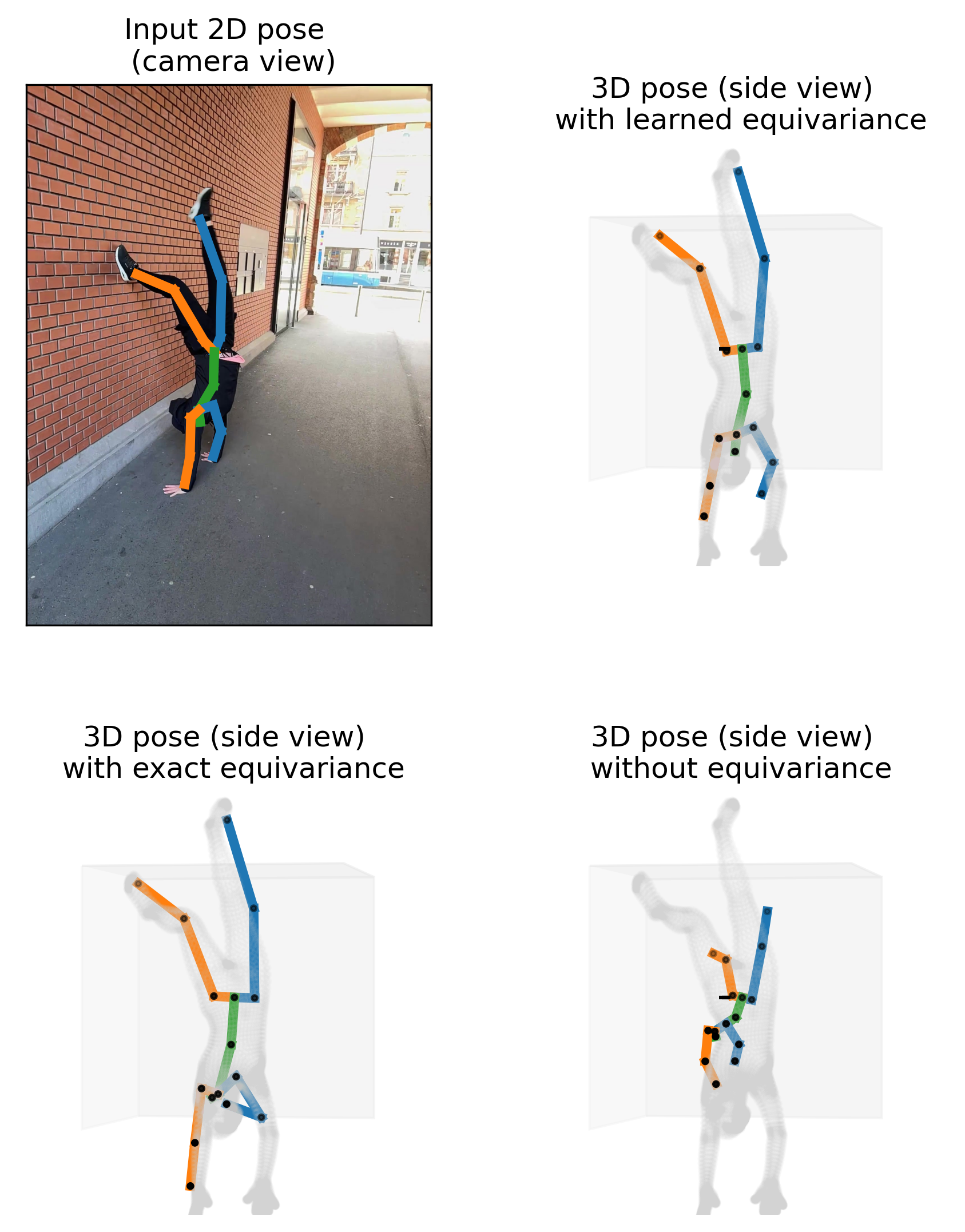 Figure 1: Typical 2D-to-3D lifting models for monocular human pose estimation struggle with in-plane rotations. Learning approximate rotation equivariance via data augmentation significantly improves performance on such poses, while models that enforce exact equivariance by design improve robustness to rotations yet tend to over-constrain the learning process, leading to less accurate 3D poses. Blue, green, and orange encode the right, middle, and left parts of the human body, respectively. The ground-truth 3D pose is shown in grey. The sample is from the 68_outdoor_handstand sequence of EMDB [1].