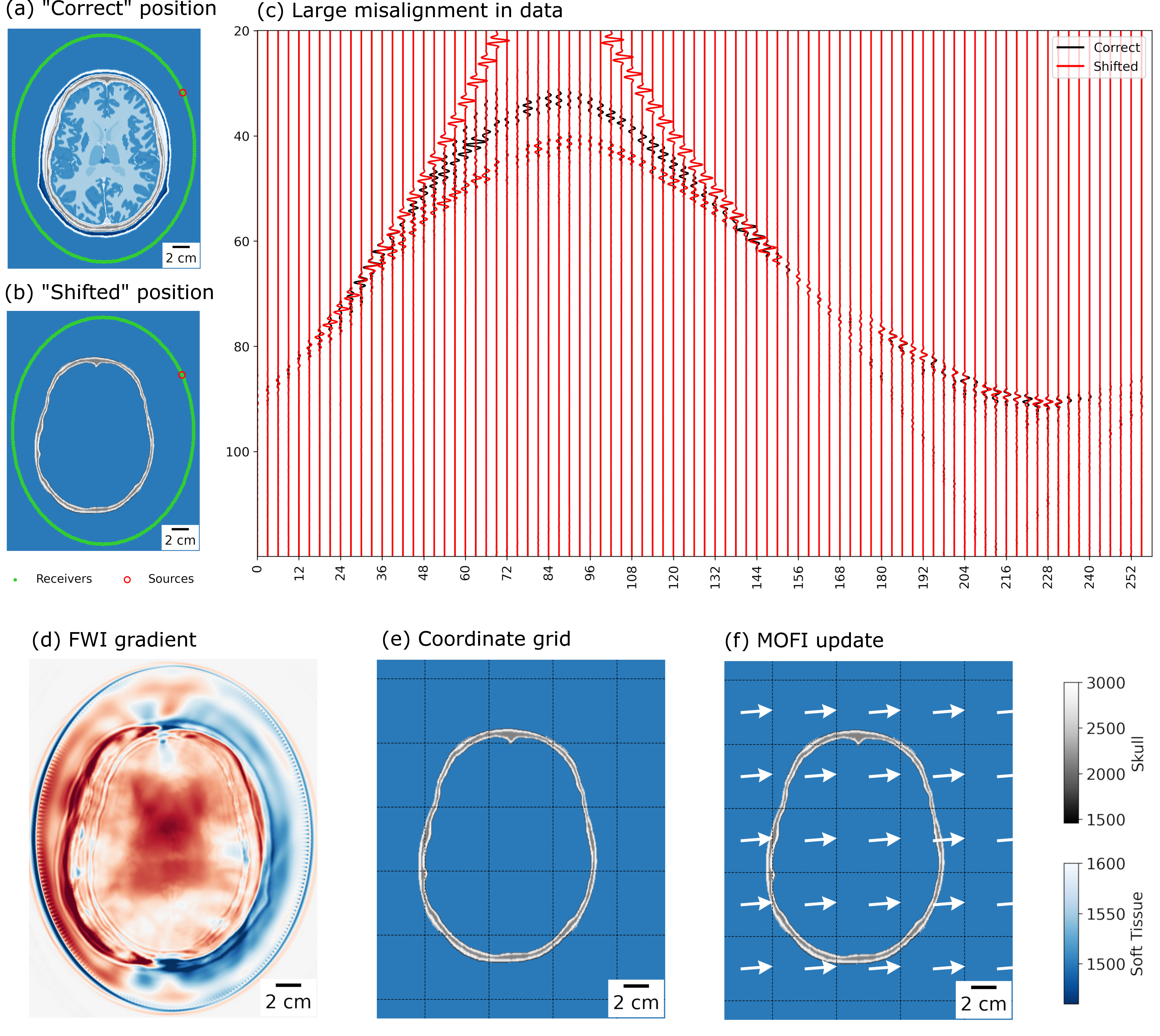 Figure 1: (a) The ground truth model in the “correct” position and (b) the skull template in the “shifted” position. (c) The correct and shifted data – respectively the black and red traces – show a large offset. (d) The FWI gradient captures the leftward shift, but the pixel-wise details are unsatisfactory. (d) By parametrising the image using coordinates, (f) MOFI (Manifold Optimisation for FWI) can represent the update in terms of translation and rotation of the image, providing an update direction (white arrows) that captures the shift.