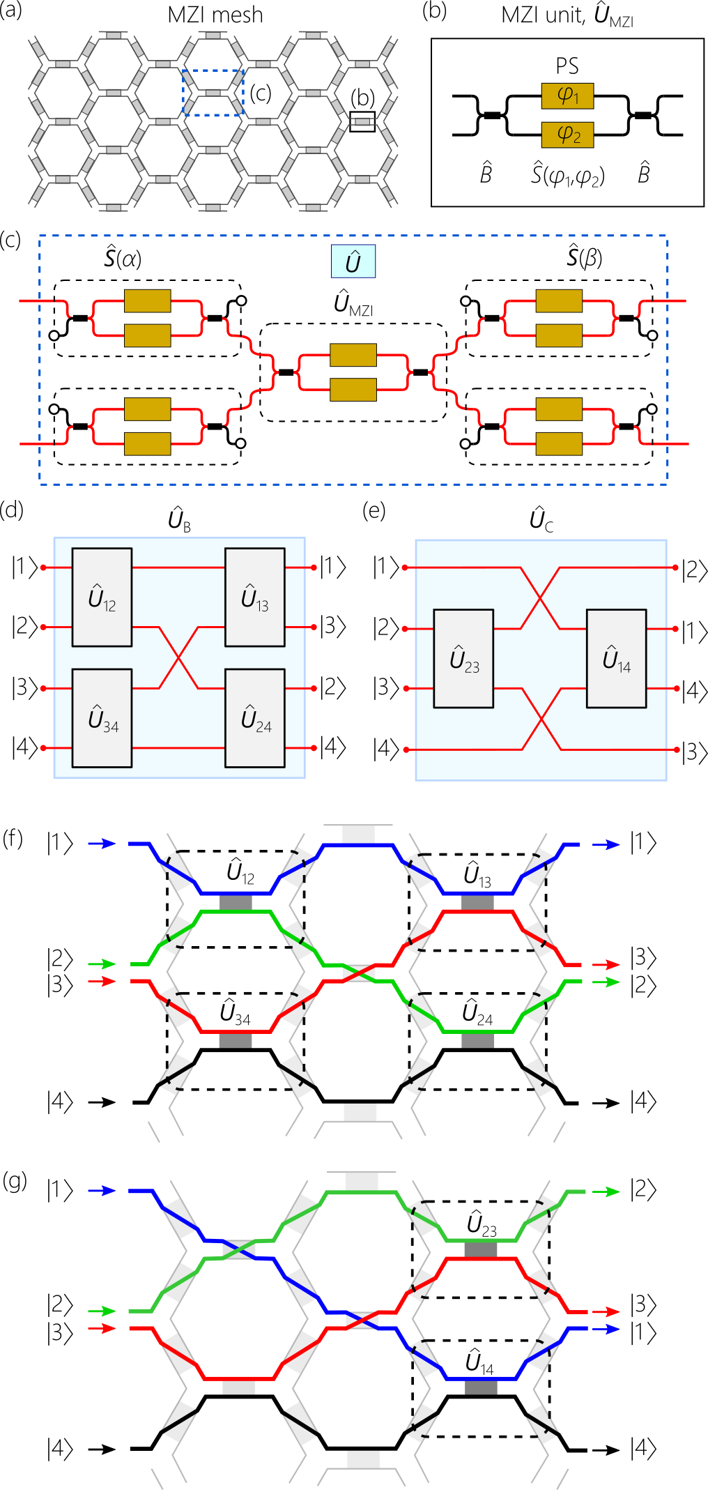 Figure 1: (a) Chip layout of the MZI mesh. Each colored rectangle is an MZI, and lines are single-mode waveguides. (b) Structure of a single MZI (Eq. 3 ). PS: Phase shifter. (c) A general 2\times2 unitary (Eq. 2 ) formed of the MZIs highlighted in (a). (d) Construction of the unitary \hat{U}_{B} and (e) \hat{U}_{C} out of sequences of 2\times2 unitaries. (f) Chip layouts for \hat{U}_{B} and (g) for \hat{U}_{C}.