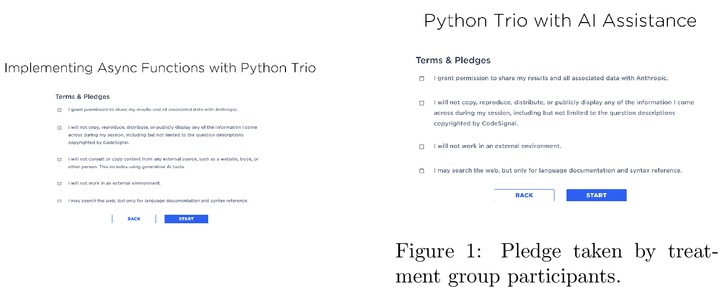 Figure 18: Pledge taken by control group participants: participants agree to not using AI assistance.