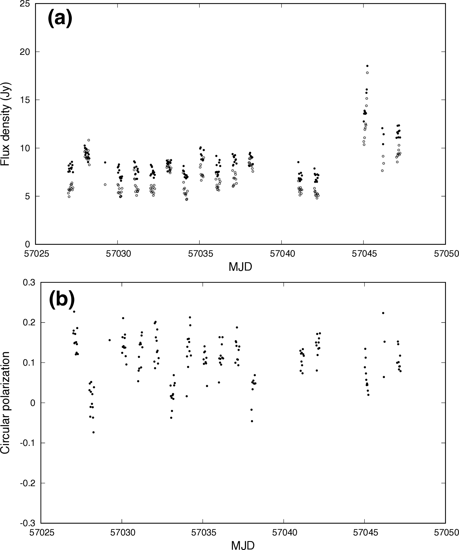 Figure 6: The light curves of RHCP (filled circle) and LHCP (open circle) (a) and circular polarization (b) of component II observed during the intensive monitoring in 2015. Alt text: Two graphs. The upper panel shows the flux variation of component II of the 6.7 GHz methanol maser of G33.641-​0.228. The lower panel shows the circular polarization of component II. The horizontal axis is common to both the upper and lower panels and represents the observation dates of 21 days in 2015.