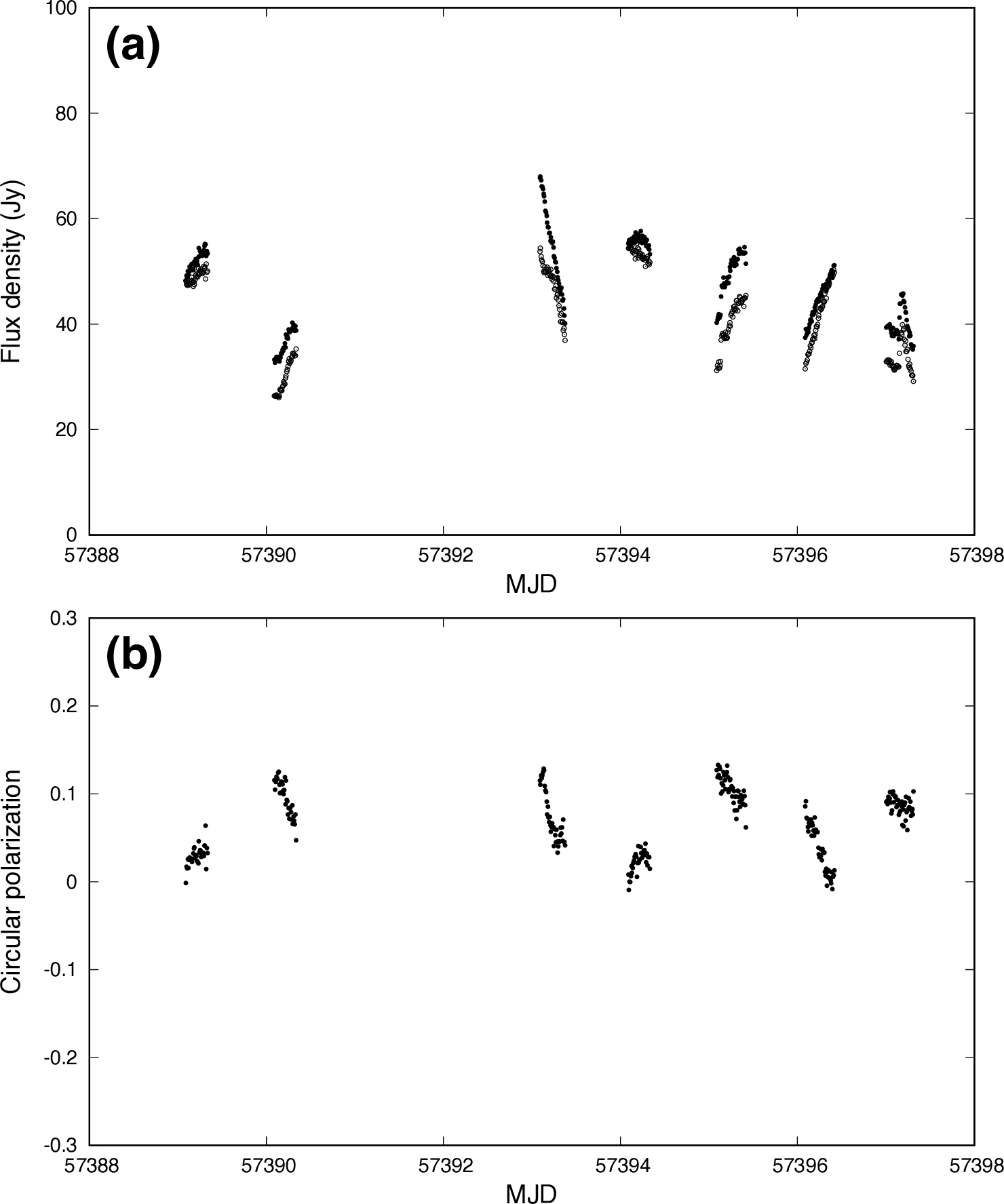 Figure 7: The light curves of RHCP (filled circle) and LHCP (open circle) (a) and circular polarization (b) of component II observed during the intensive monitoring in 2016. Alt text: Two graphs. The upper panel shows the flux variation of component II of the 6.7 GHz methanol maser of G33.641-​0.228. The lower panel shows the circular polarization of component II. The horizontal axis is common to both the upper and lower panels and represents the observation dates of 9 days in 2016.