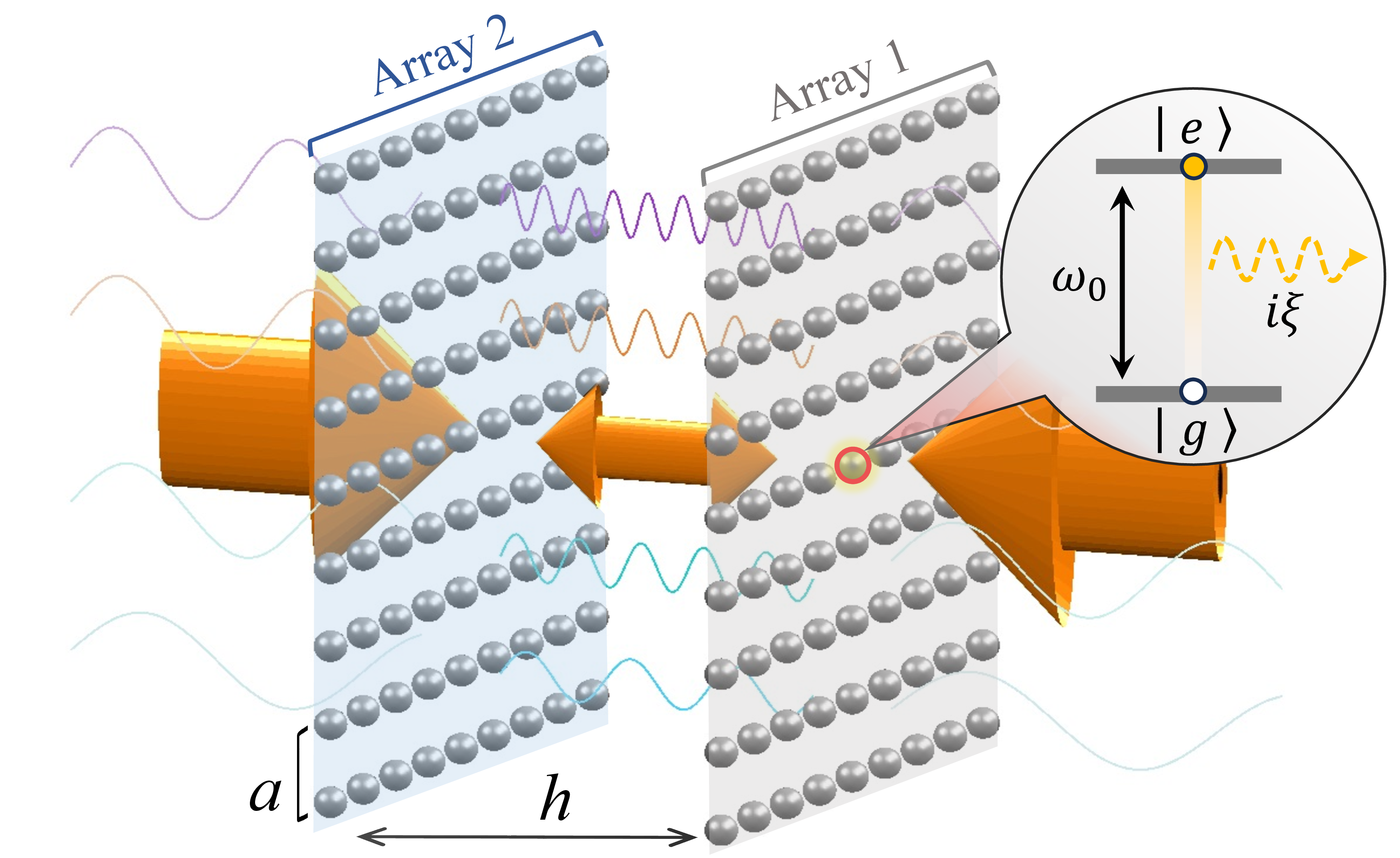 Figure 1: Illustration of the Casimir-Polder force between two 2D atomic arrays. The inset illustrates a quantum fluctuation that excites a two-level atom marked by the red circle in Array 1 and emits a virtual photon (dashed wavy arrow), which can be scattered by atoms in the arrays. Solid colored wavy lines indicate the virtual photons scattering between atomic arrays.