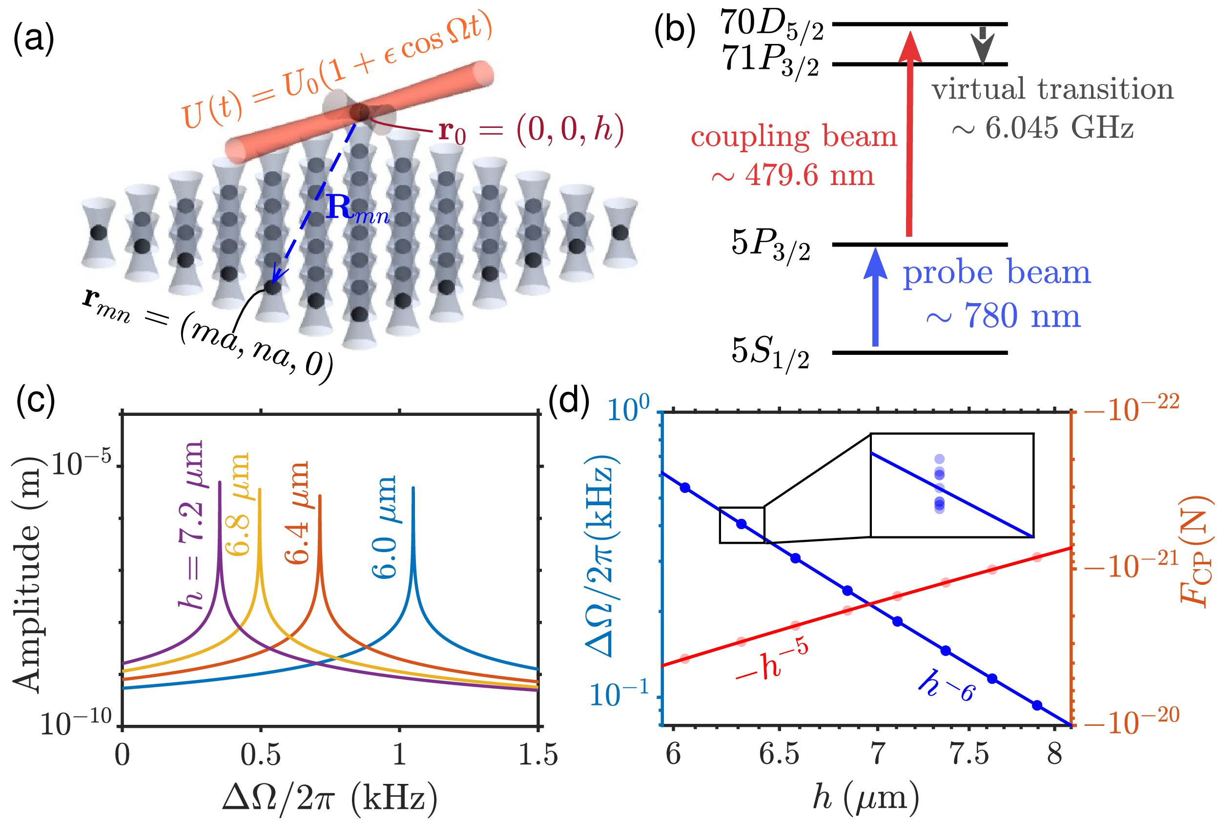 Figure 3: (a) Sketch of atom-array system. Gray beams indicate optical trapping potentials, while red beams represent the additional modulated potential U(t) = U_0(1+\epsilon \cos \Omega t). (b) Rydberg-atom excitation process, with the 70D_{5/2} \rightarrow 71P_{5/2} transition shown as a gray dashed line representing the virtual-photon excitation process. (c) Simulated parametric resonance of a single Rydberg atom positioned above a 2D atomic array. The plotted quantity is the atomic displacement under a periodically modulated trap; the peak amplitude indicates the resonance position. (d) Measured resonance peak shifts (left axis) and the corresponding Casimir force (right axis) as a function of atom–array distance h. The peak shifts reflect trap curvature changes induced by the Casimir interaction, from which the force is inferred.