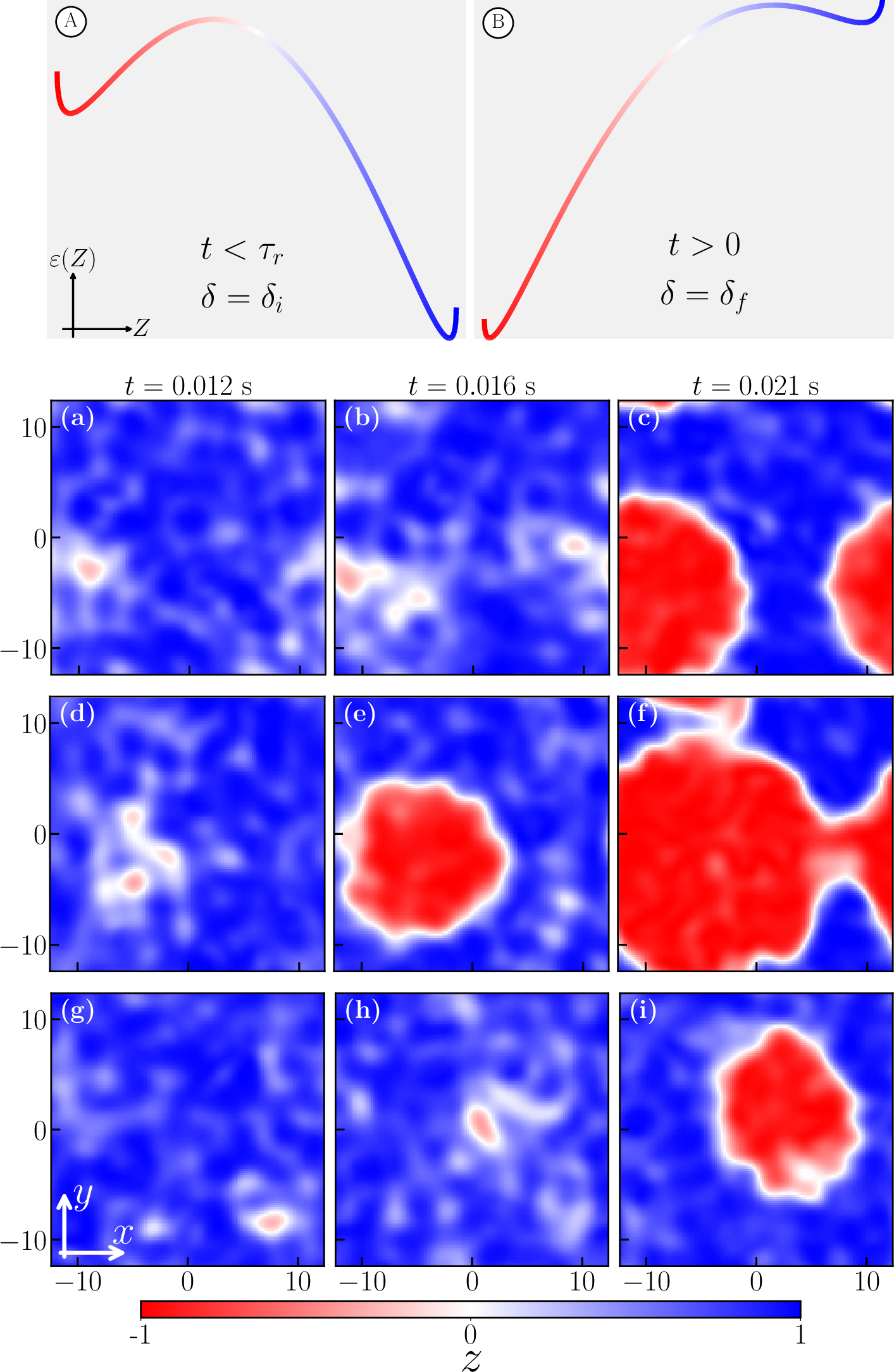 Figure 2: Panels ⃝ and ⃝ show the energy landscapes, in arbitrary units, described by Eq. (1 ). In ⃝, for an initial positive detuning \delta_i = 0.5 \Omega, the system is prepared at equilibrium near the global minimum (Z \approx 1) at temperature T = 5.5T_s. For \tau_r< t < 0, with \tau_r=-1.6 s, the detuning is linearly varied from the initial \delta_i to a final negative value \delta_f = -1.0 \Omega, hence transferring the system into a metastable state, as in ⃝. The system subsequently decays into the true vacuum. Panels (a)–(i) show typical snapshots of the local magnetization z=(n_1-n_2)/(n_1+n_2) in the x–y plane at three different times during the decay process, namely 12, 16 and 21 ms. Each square box has length 25~\mu \rm{m} and periodic boundary conditions. Each row corresponds to a distinct stochastic noise realization. The figure shows bubbles of condensate 2 (red) forming and growing in condensate 1 (blue).