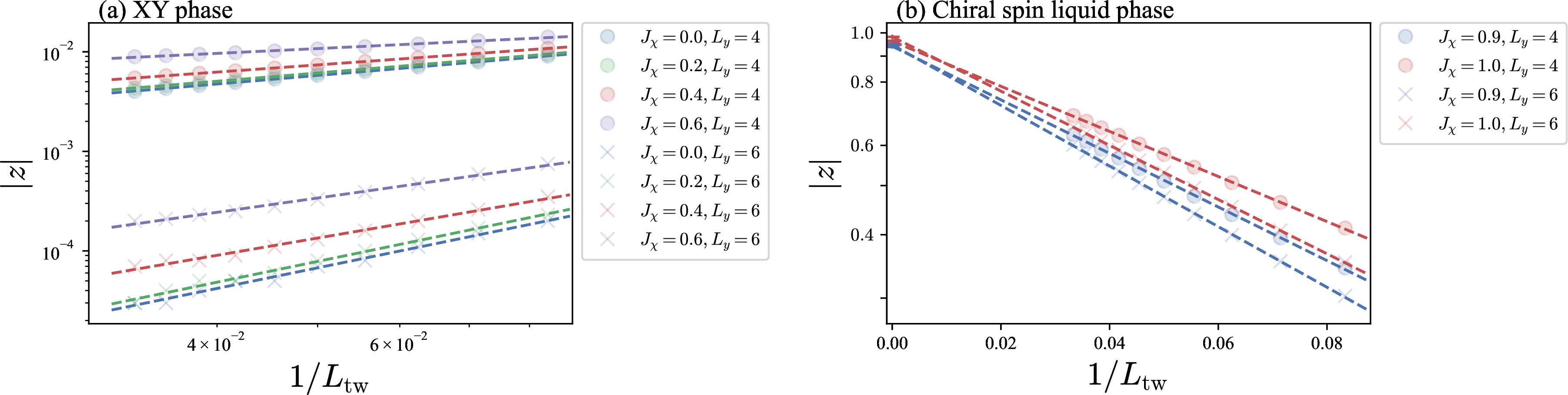 Figure 5: Scaling of the spin polarization amplitude with the inverse twist length in the square-lattice XY–J_\chi model on infinite cylinders. The vertical axis shows the spin polarization amplitude |z|, while the horizontal axis represents the twist length L_{\mathrm{tw}}. Circle and cross symbols correspond to cylinders with circumferences L_y = 4 and L_y = 6, respectively. Within each set, the curves are ordered from bottom to top as J_\chi = 0.0, 0.2, 0.4, and 0.6. (a) XY phase (J_\chi = 0.0–0.6): |z| shows as a power-law decay and vanishes in the L_{\mathrm{tw}} \to \infty limit, with dashed lines indicating power-law fits of the form |z| \propto 1/L_{\mathrm{tw}}^{\alpha}. (b) Chiral spin-liquid phase (J_\chi = 0.9,\,1.0): |z| extrapolates toward values close to unity as L_{\mathrm{tw}} \to \infty, consistent with a gapped chiral spin-liquid regime. Dashed lines indicate exponential fits of the form |z|= |z_{\infty}| e^{-\lambda/L_{\mathrm{tw}}}, where |z_{\infty}|,\lambda are fitting parameters.