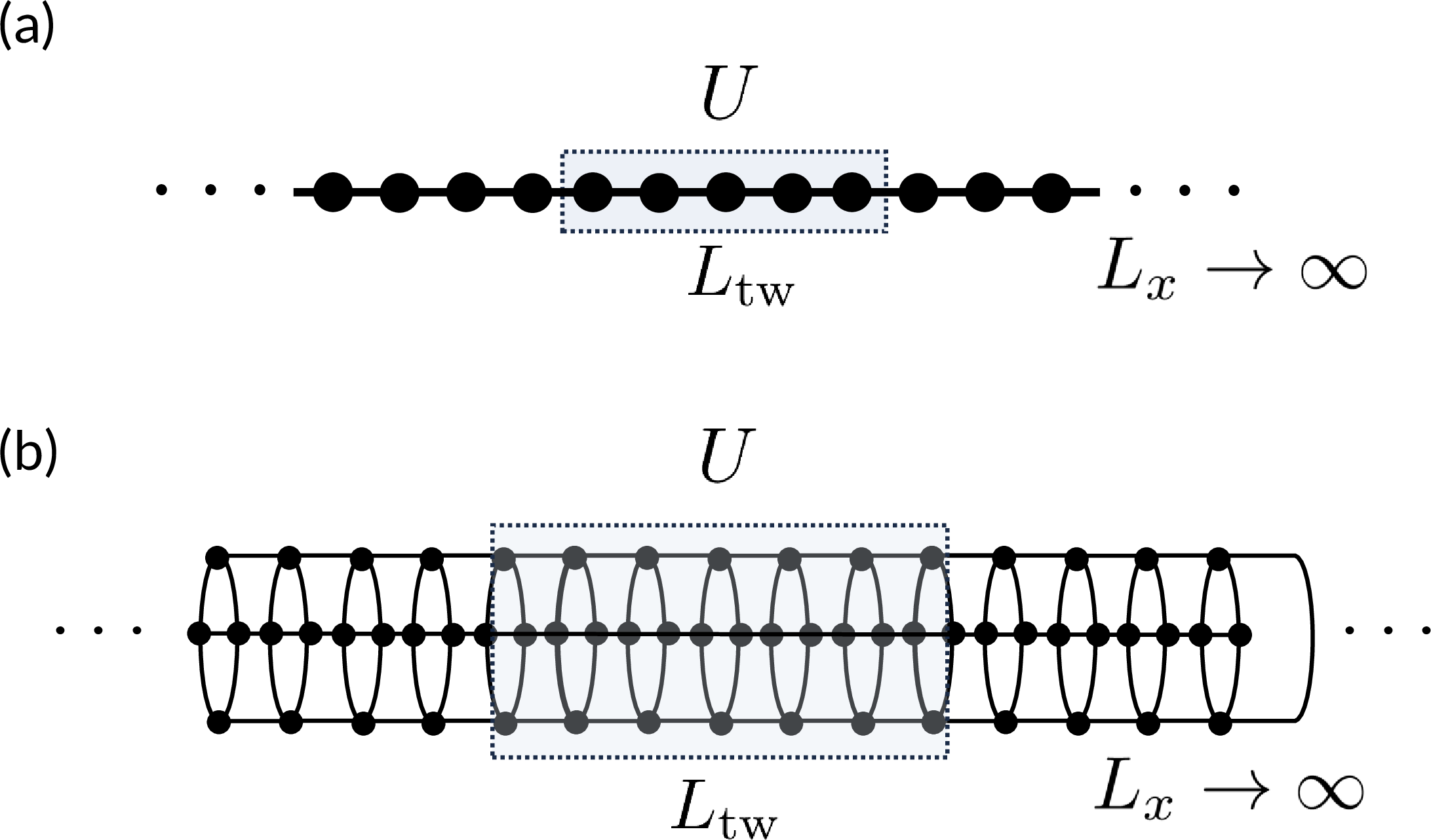 Figure 1: Schematic illustration of the spatial region on which the twist operator acts. (a) For an infinite one-dimensional chain in the thermodynamic limit (L_x \to \infty), the twist operator U is applied to a finite region of length L_{\mathrm{tw}}. (b) For an infinite cylinder with circumference L_y (here L_y = 4) and infinite axial length (L_x \to \infty), the twist operator U is applied to a finite region of length L_{\mathrm{tw}} along the axial direction.
