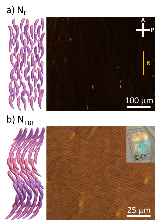 Figure 1: Schemes and polarized microscope (POM) images of the material F7i in a 10 \mum-thick cell with parallel rubbing. (a) N_{\text{F}} at 32^{\circ}C and (b) N_{\text{TBF}} just below the N_{\text{F}}-N_{\text{TBF}} phase transition. P, A, and R denote the polarizer, analyzer, and rubbing directions, respectively. Inset (b) shows a photograph of the cell exhibiting strong Bragg scattering.