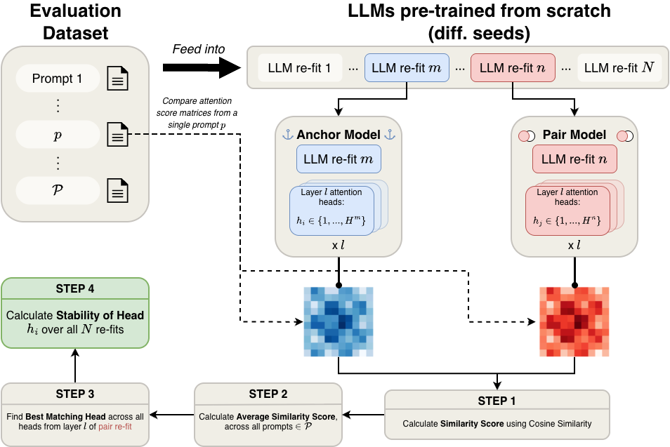 Figure 1: Experimental workflow for assessing attention head stability. For each of our 26 architectural configurations, we instantiate N GPT-2-small LLMs, each with a different initial random seed. Each LLM is pre-trained from scratch with the OpenWebText or C4 datasets, depending on the architectural configuration. After pre-training, we take \mathcal{P} evaluation prompts and compute attention score matrices for each head in each layer. An anchor model m is selected and compared to a pair model n, recursively for each randomly initialized and pre-trained LLM in that architectural subset. Cosine similarity is used to assess the similarity of each attention score matrix from each head, and a “Stability" score is computed from the best matching heads across refits of the architectural subset. See Methods 3.2 for definitions of these terms.