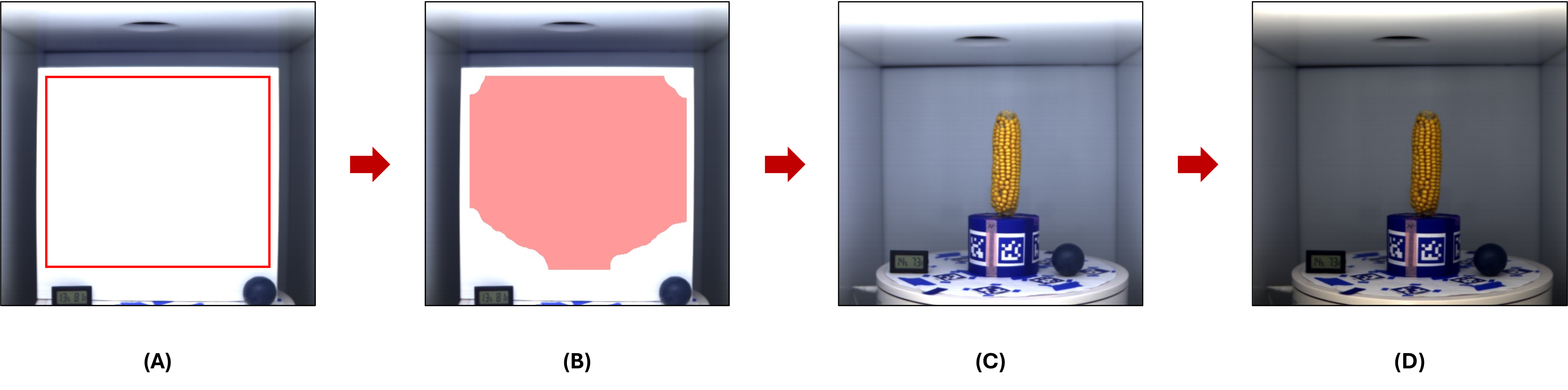 Figure 4: White reference (WR)–based spectral calibration. (A) Coarse WR region of interest (ROI) extraction. (B) Automatically generated central WR mask after 70th-percentile-based spatial deviation filtering. (C) Pseudo-RGB rendering of the raw hyperspectral cube before calibration. (D) Final spectrally calibrated result after WR-based normalization and reflectance clipping.