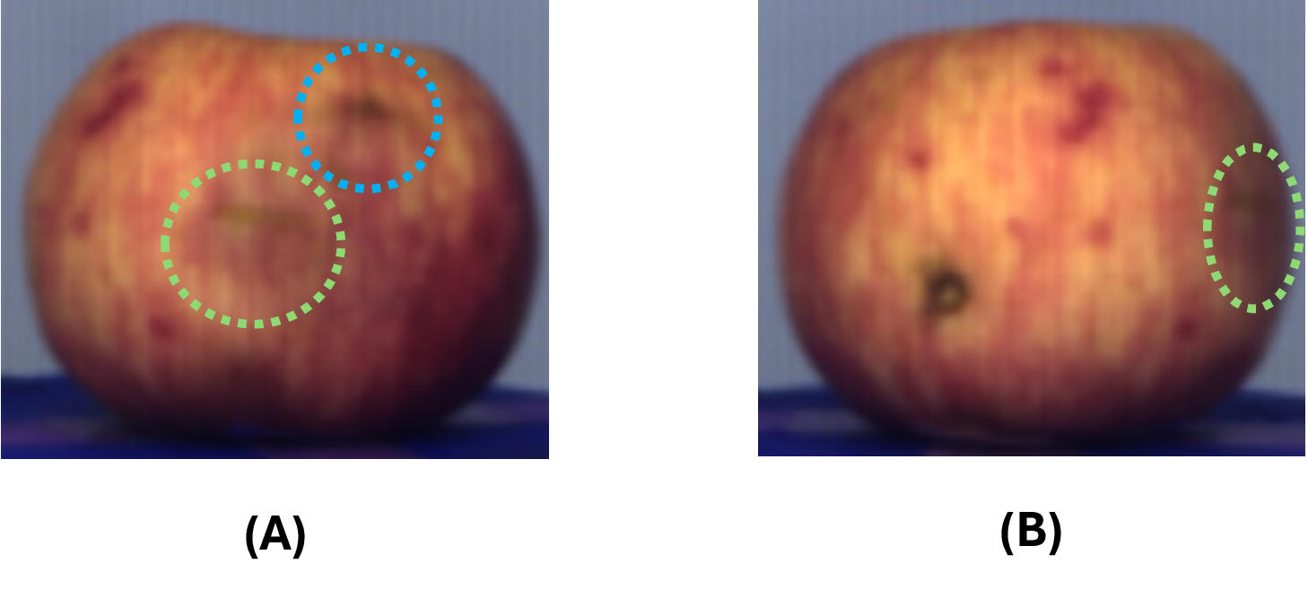 Figure 1: Motivation for hyperspectral imaging (HSI) in 3D. Two views of the same apple show viewpoint-dependent bruise visibility: one ROI is visible in view (A) but occluded in view (B), motivating HSI with 3D reconstruction for more complete surface assessment.