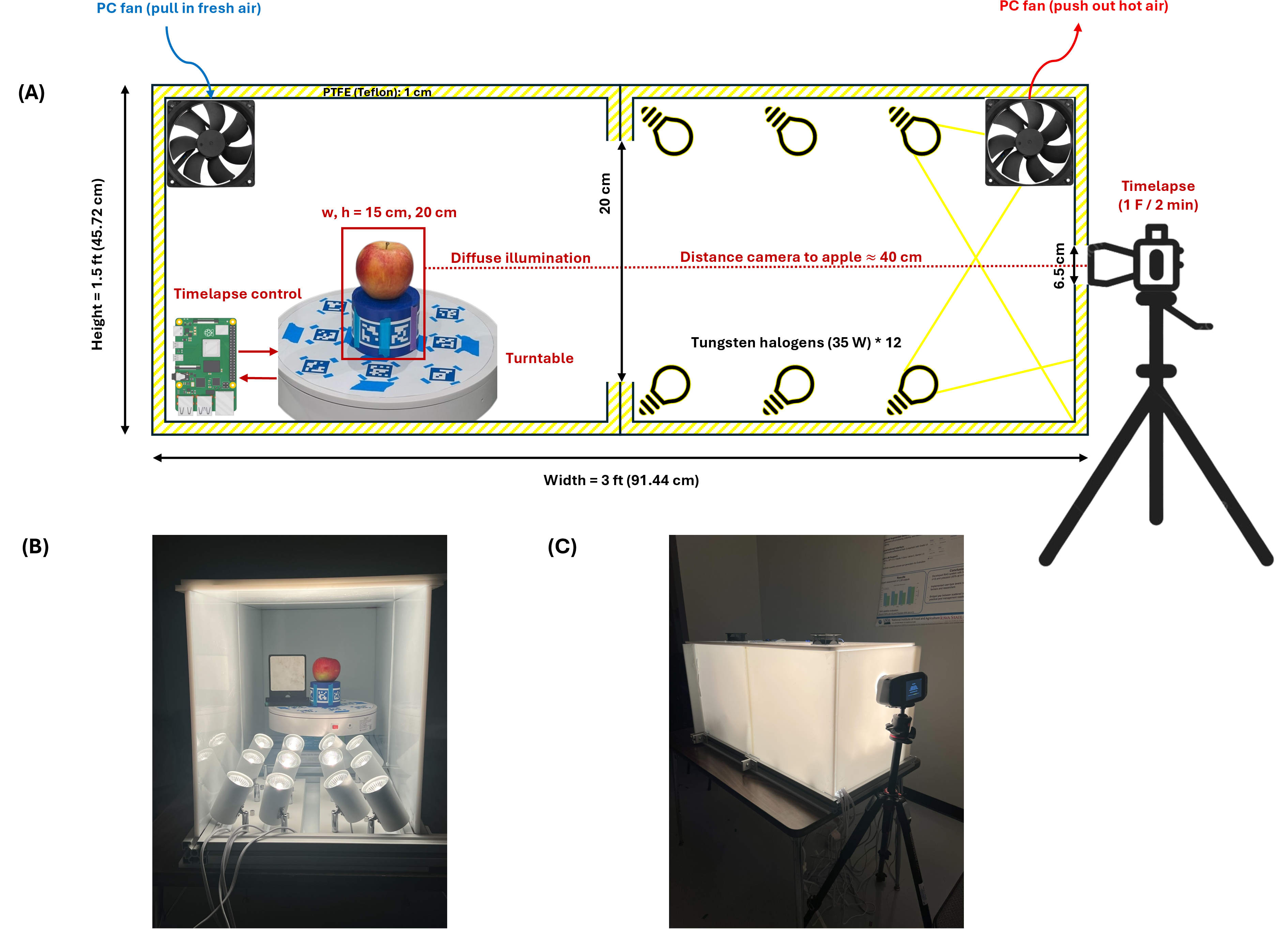 Figure 3: Teflon studio chamber for uniform hyperspectral illumination. (A) The chamber is designed from PTFE (Teflon) sheets to provide diffuse illumination. (B) Inside the chamber and (C) the outside.