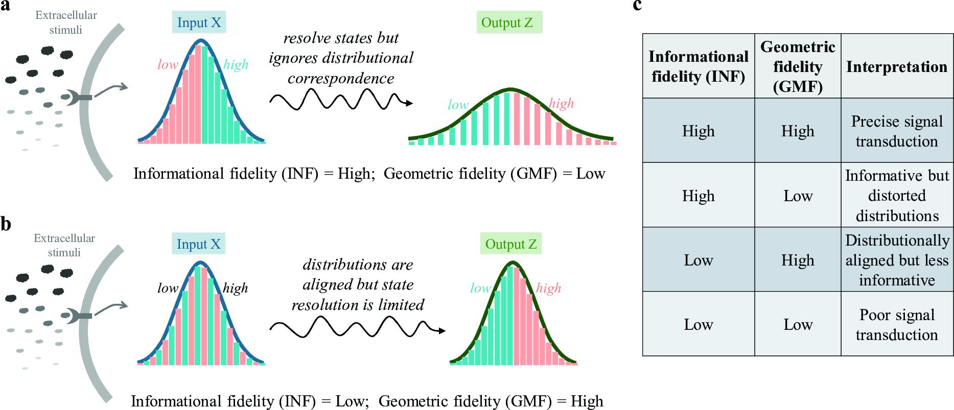 Figure 2: Schematic illustrations of informational and geometric fidelity. a Informational fidelity characterizes state-wise mapping between input and output distributions. This mapping resolves states accurately but sacrifices distributional correspondence. b Geometric fidelity accounts for shape, scale (variability) and mean-wise mapping of input distribution to output. While this geometric fidelity cannot measure the precise discrimination of input states in the output, it does measure their overall distributional correspondence. c A balance between these two fidelities governs cellular decision-making. The table summarizes the various combinations of these two fidelities and their interpretation in signaling.