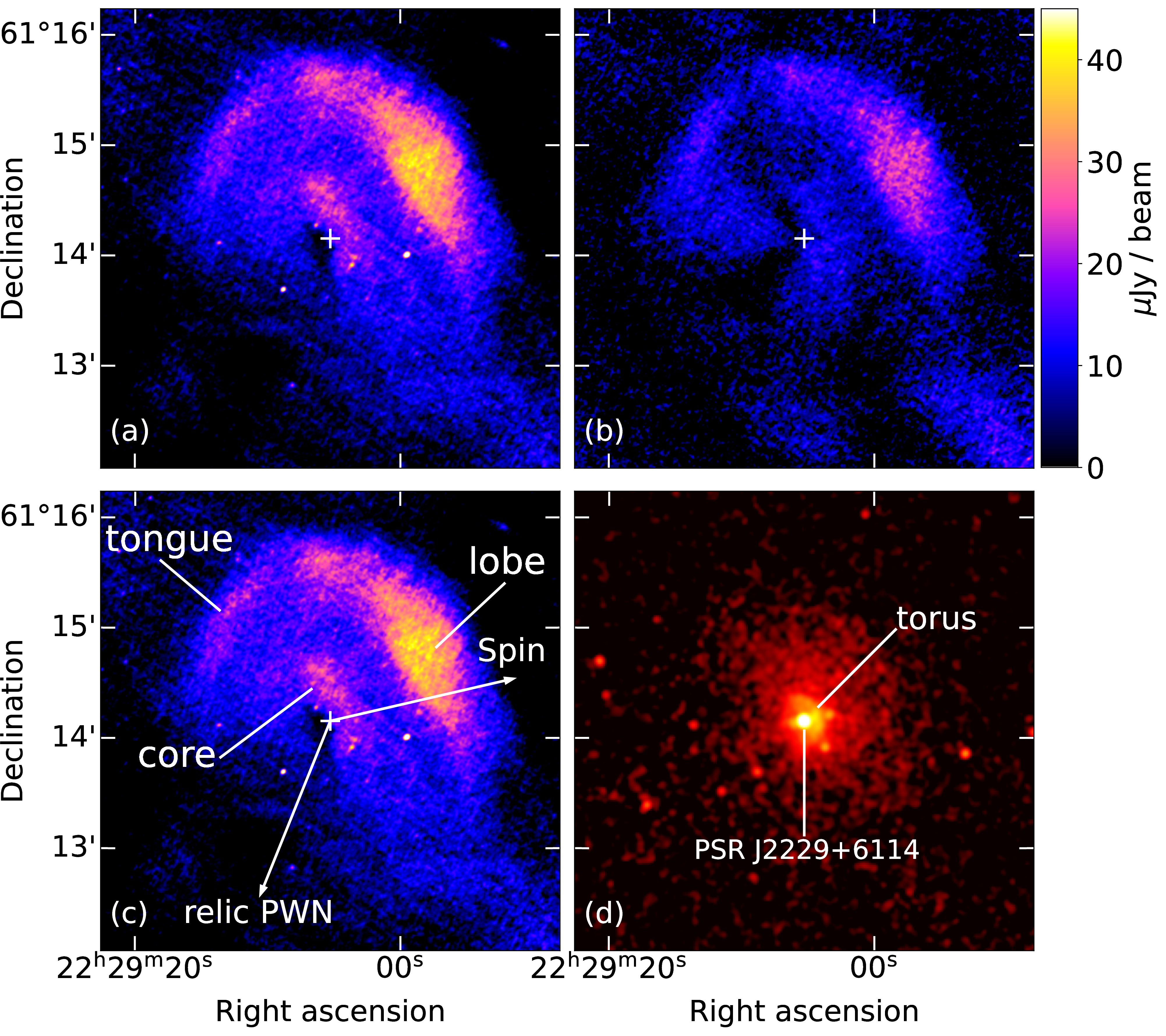 Figure 1: (a) VLA total intensity and (b) linear polarized intensity maps of the Boomerang PWN at 6 GHz. The white crosses mark the position of PSR J2229+6114. The radio images have a beam size of 2\farcs3\times1\farcs8 FWHM and rms noise of 5 mJy beam^{-1}. (c) same as (a) with different PWN features labeled. The arrow pointing west shows the pulsar spin axis direction inferred from the X-ray PWN [15]. The arrow pointing southeast indicates the direction to the relic PWN [12]. (d) Exposure corrected ChandraX-ray image of the same field, showing the central pulsar J2229+6119 and the surrounding torus.