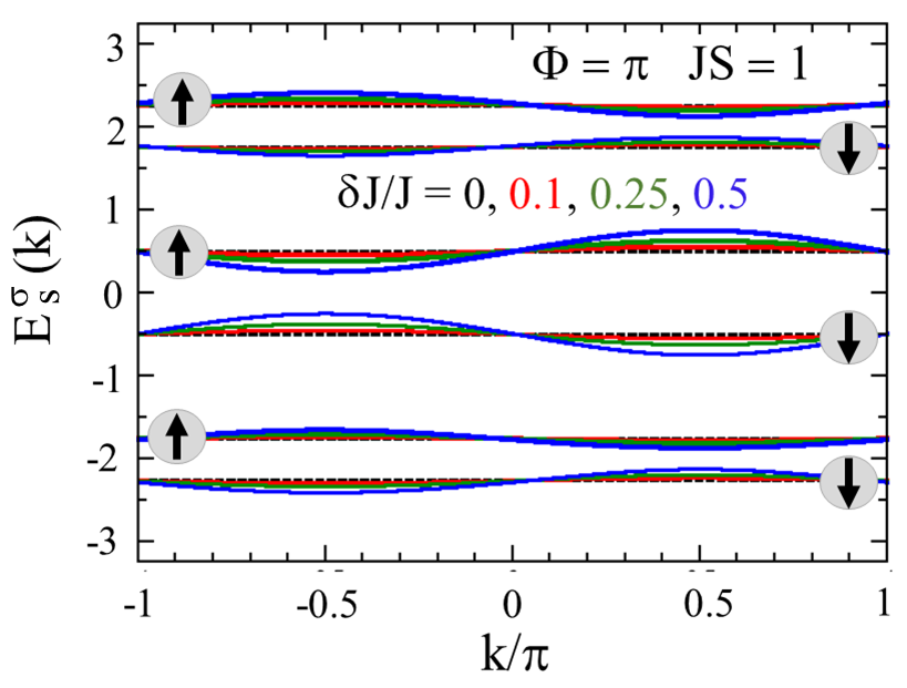 Figure 10: Energy dispersions E^{\sigma}_{s} as a function of momentum, where \sigma =\uparrow,\:\downarrow (depicted in the figure) and s = 0,\pm and several values of the ratio \delta J/J corresponding to different colors. Here, we have taken \Phi=\pi and JS = 1.