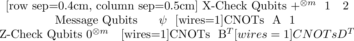 Figure 7: Depiction of a simple encoding circuit for a quantum CSS code of the form of Equations 9 and 10 . This is intended for illustrative purposes only.