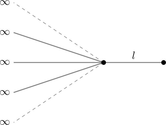 Figure 3: N half-lines and a pendant all emanating from the same vertex. The number of half-lines is N \geq 3 and the length of the pendant is l >0.