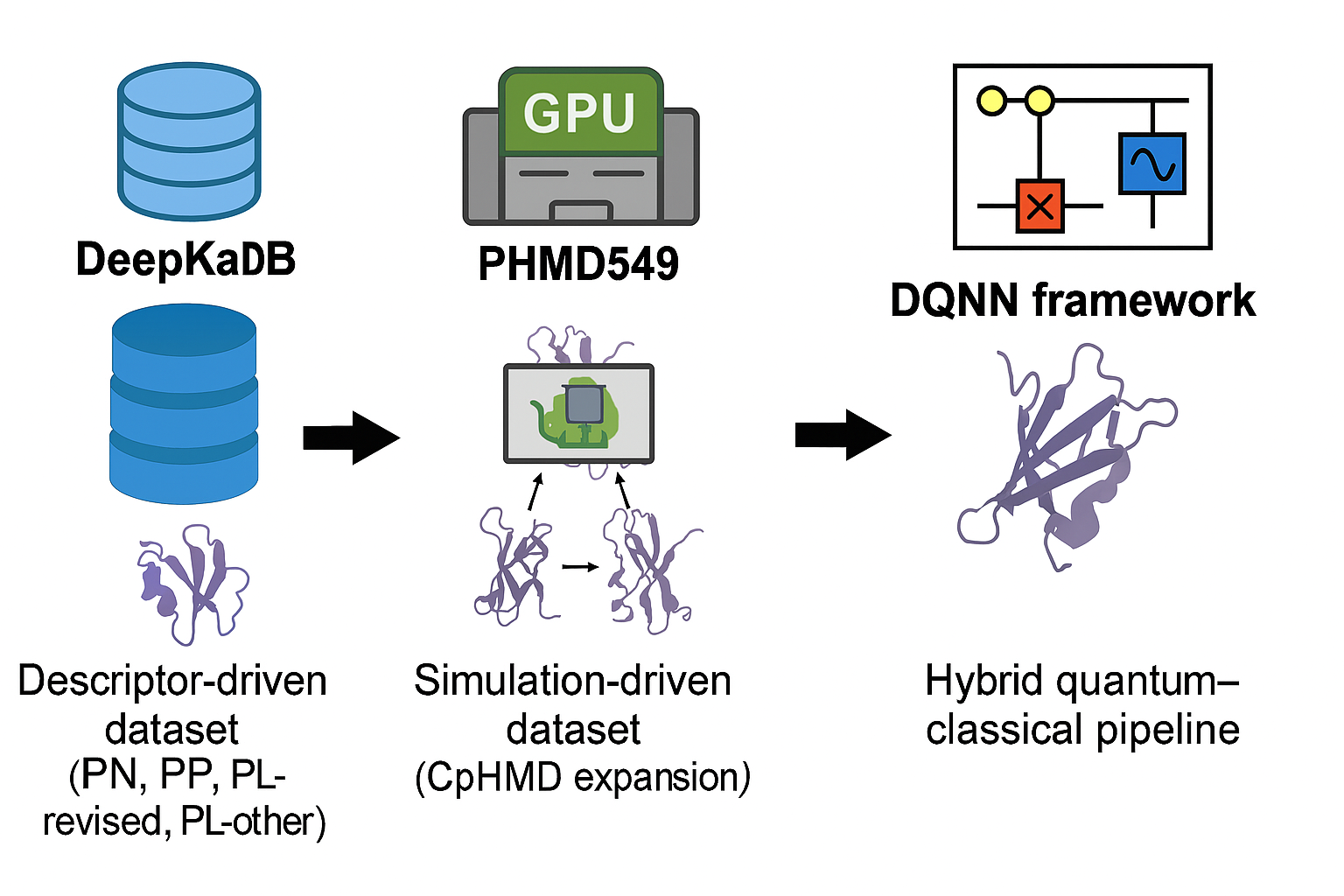 Figure 1: Schematic overview contrasting dataset origins and methodological innovations in residue‑level pKa prediction. (Left) DeepKaDB: descriptor‑driven resource derived from soluble proteins in PDBbind, providing curated feature sets for classical machine learning models. (Center) PHMD549: simulation‑driven dataset generated via GPU‑accelerated CpHMD, expanding PHMD279 to 26,552 residues across 549 proteins. (Right) DQNN framework: hybrid quantum–classical pipeline that integrates curated descriptors with quantum‑inspired feature transformations.