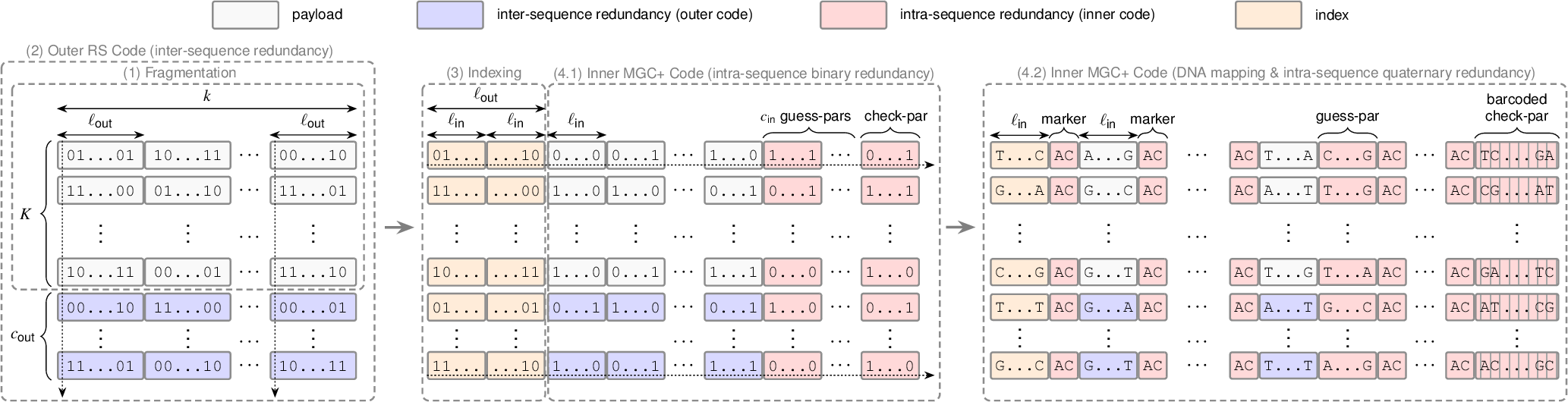 Figure 5: Schematic illustration of the DNA-MGC+ encoding process. (1) The input data is partitioned into K fragments, each of length k bits.(2) An outer Reed-Solomon code is applied across fragments to introduce inter-sequence redundancy, where each code symbol consists of \ell_{\text{out}} bits, producing c_{\text{out}} additional sequences.(3) Each sequence is prepended with a unique binary index of length \ell_{\text{out}} bits.(4.1) In the first stage of the inner MGC+ code, the indexed sequences are encoded to introduce binary intra-sequence redundancy, using symbols of \ell_{\text{in}} bits and generating c_{\text{in}} guess parities in addition to a single check parity.(4.2) In the second stage of the inner MGC+ code, the resulting binary sequences are mapped to quaternary DNA sequences, followed by the insertion of periodic “\mathsf{AC}” markers and further barcoding of the check parity.