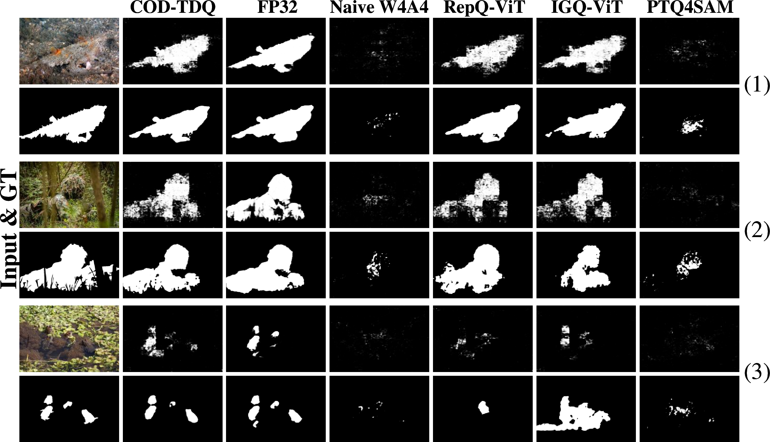 Figure 5: Qualitative comparison. The first column shows the input image and the GT mask. The remaining columns present the prediction masks produced by different quantization methods (RepQ-ViT, IGQ-ViT, PTQ4SAM). For each example, the two rows correspond to results obtained with the CFRN and ESCNet baselines, respectively.