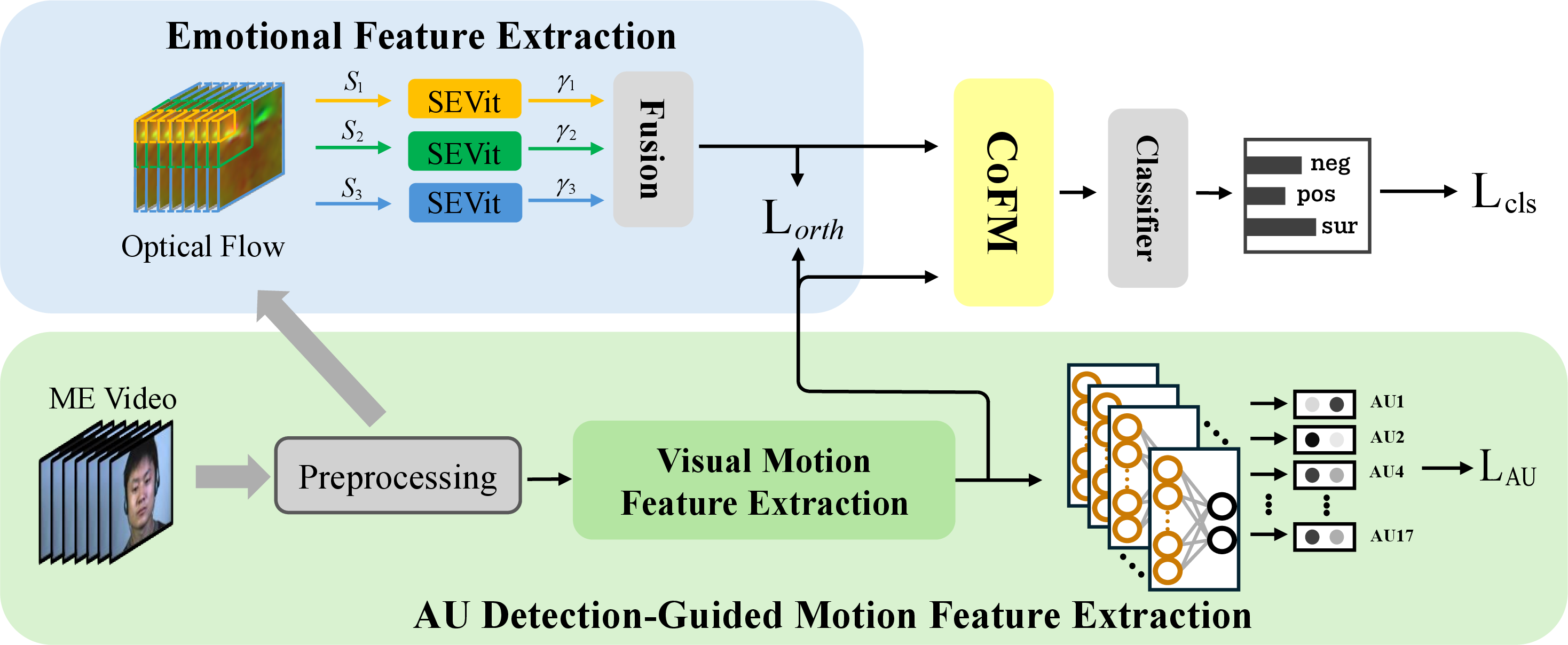 Figure 3: The architecture of our MEDN. For a micro-expression sequence, optical flow is first calculated frame by frame with respect to the first frame to obtain an optical flow sequence as input to the model. The optical flow sequence is then fed into the emotion feature extraction branch and the motion feature extraction branch for feature extraction. Among them, the motion feature extraction branch is supervised by the AU detection task as an auxiliary objective. The emotion feature extraction branch leverages our proposed SEViT to extract multi-scale features, and orthogonal decoupling with the motion feature extraction branch enables SEViT to focus more on implicit emotion features. Finally, the extracted motion and emotion features are fed into the CoFM module to achieve collaborative feature fusion, and the fused features are used for micro-expression recognition.