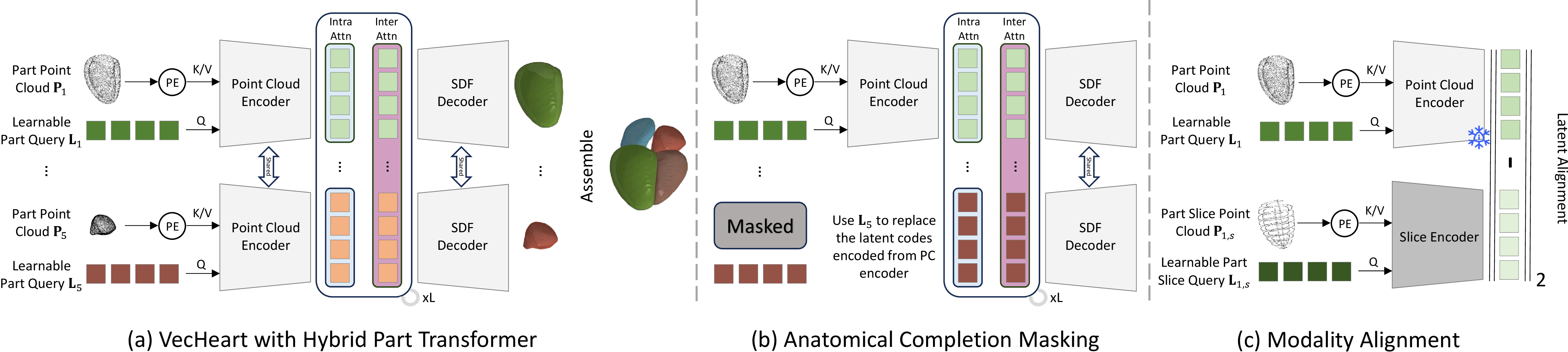 Figure 1: VecHeart pipeline. (a) A shared encoder creates part latent codes from surface point clouds and learnable part queries that are processed by interleaved intra/inter-part attention layers, which are fed to a shared decoder that outputs SDF values for all parts. (b) During training, we randomly mask K chambers while still making the model reconstruct the whole heart. To this end, we replace the encoded latent vectors by corresponding learnable ones. (c) To handle heterogeneous input, we introduce a dual-encoder and an alignment loss.