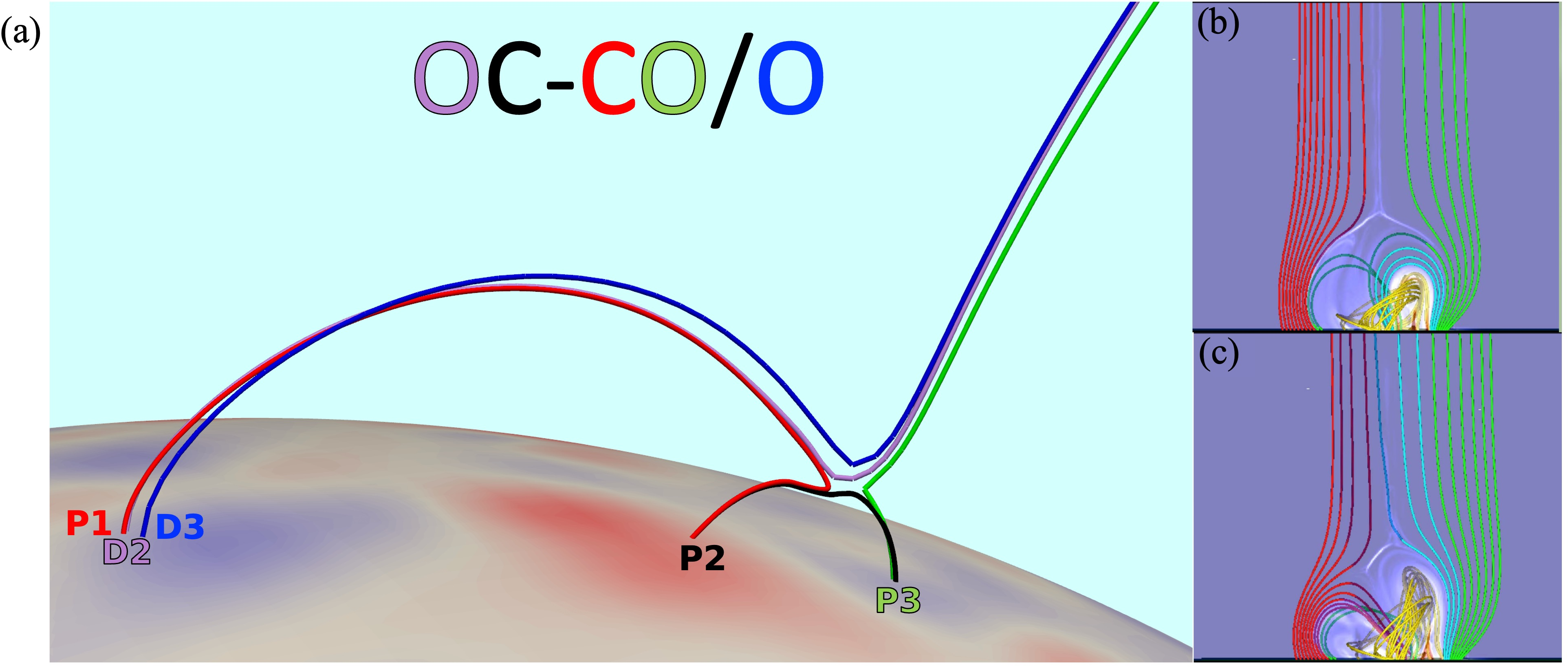 Figure 2: (a) Example plot of an interchange reconnection code, with labeled footpoints. P2 and D2 are located in the past (t_0), while P1, P3, and D3 are in the present (t_1), but all are co-plotted for context. Please note that some footpoints are very close to each other, making it difficult to distinguish between them. (b) and (c) illustrate interchange reconnection in an MHD simulation, where the open red and closed cyan field lines in (b) reconnect with each other through the current sheet (shown in white) to become the closed red and open cyan field lines (reproduced with permission from Fig. 7 of [46]).