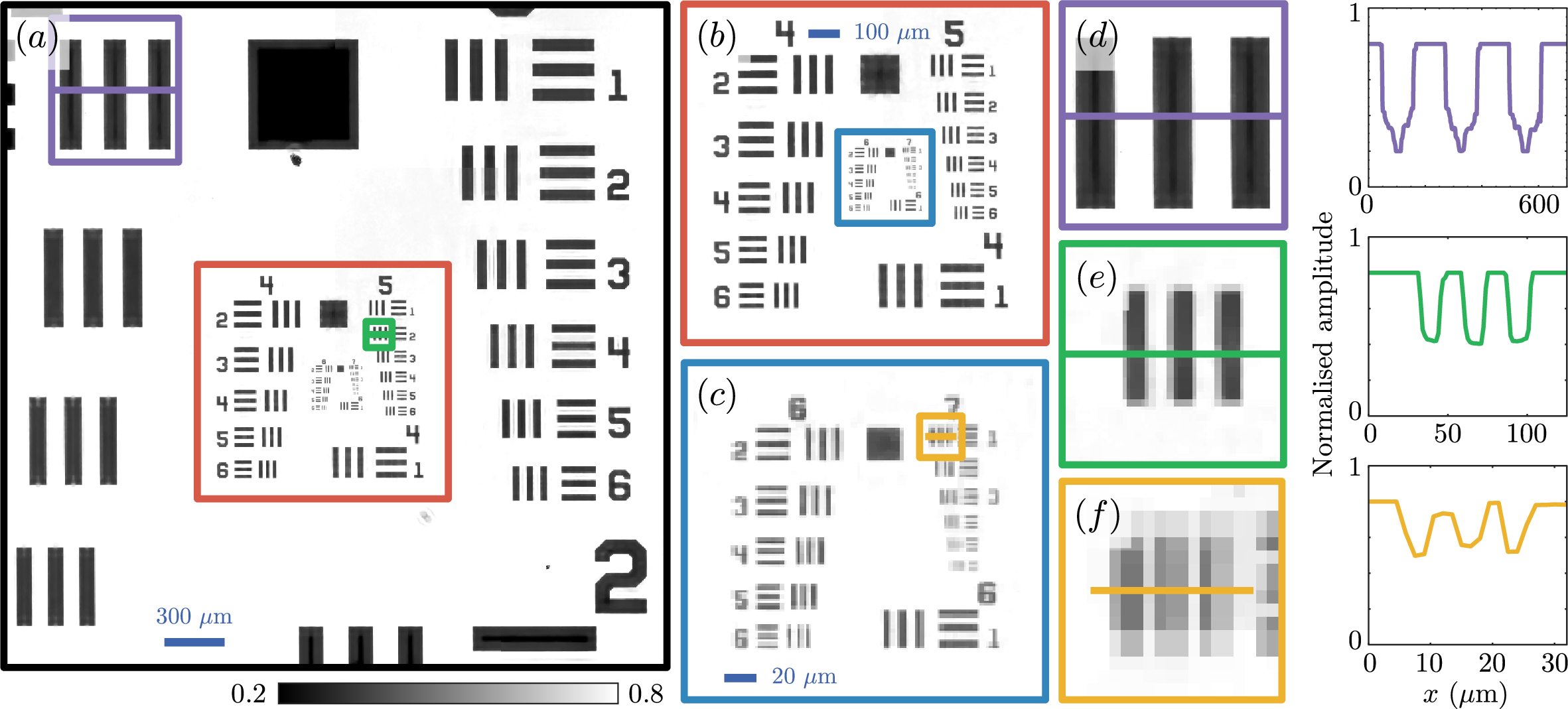 Figure 3: Single-shot amplitude reconstruction of a resolution target. (a) Reconstructed amplitude over the full field-of-view obtained from a single intensity measurement. (b) and (c) Coloured boxes indicate regions selected for magnified inspection. Enlarged views of the highlighted regions demonstrate recovery of fine spatial features across multiple resolution groups. (d)-(f) Line profiles extracted from the reconstructed amplitude along the indicated directions illustrate contrast preservation and spatial fidelity.