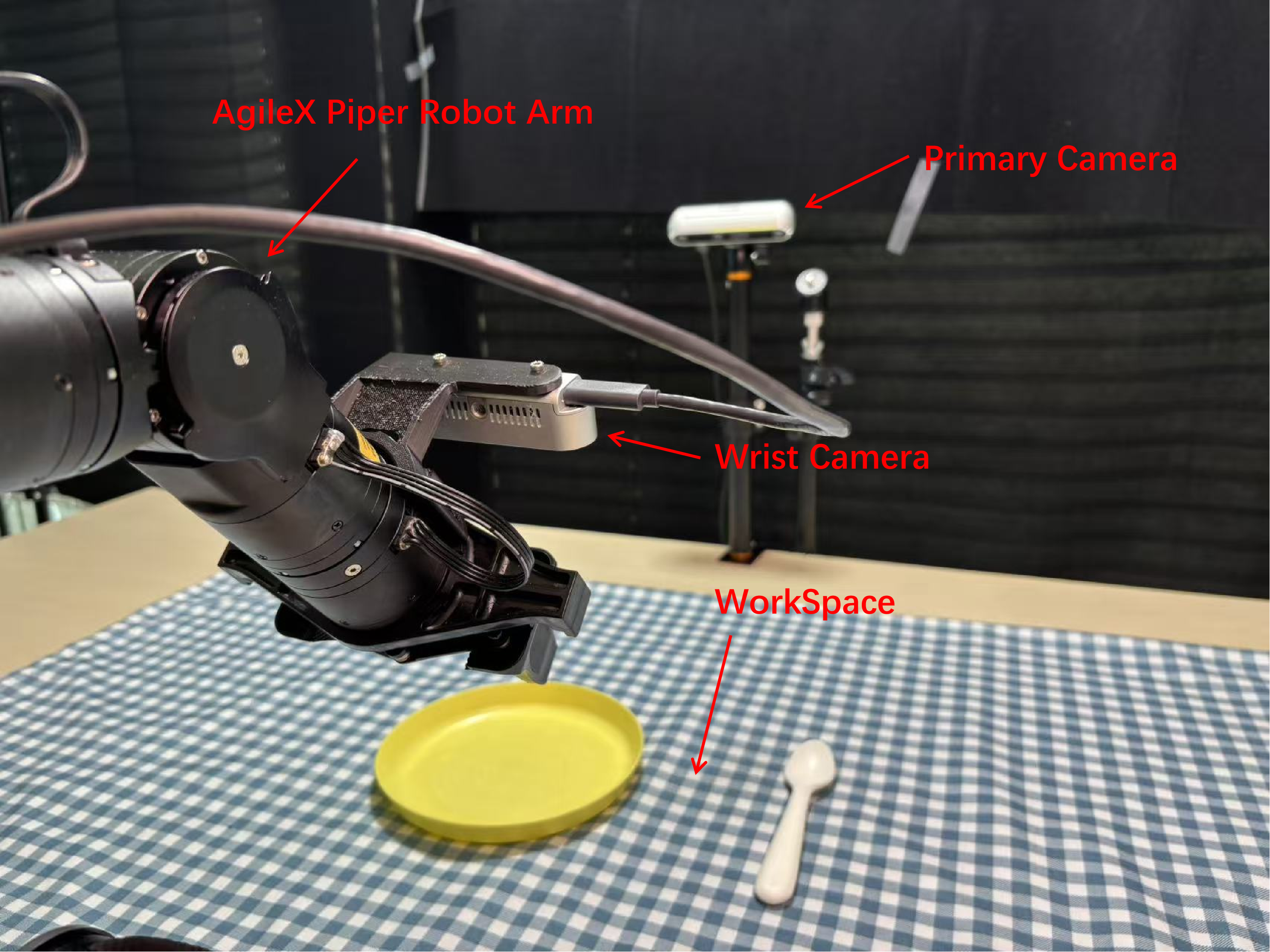 Figure 8: We use an AgileX Piper robot arm equipped with a wrist camera, together with a primary camera observing the tabletop workspace. The policy takes both camera views, the robot end-effector pose, and gripper state as observations for real-world manipulation.