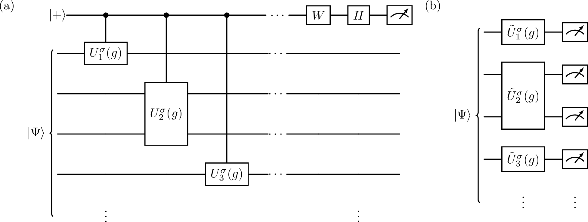 Figure 1: Circuit diagrams for calculating \langle \Psi |U(g)|\Psi \rangle via the Hadamard test (a) and the proposed ancilla-free method (b). Here W = I, S^{\dagger} for \textrm{Re} \langle \Psi |U(g)|\Psi \rangle and \textrm{Im} \langle \Psi |U(g)|\Psi \rangle, respectively.