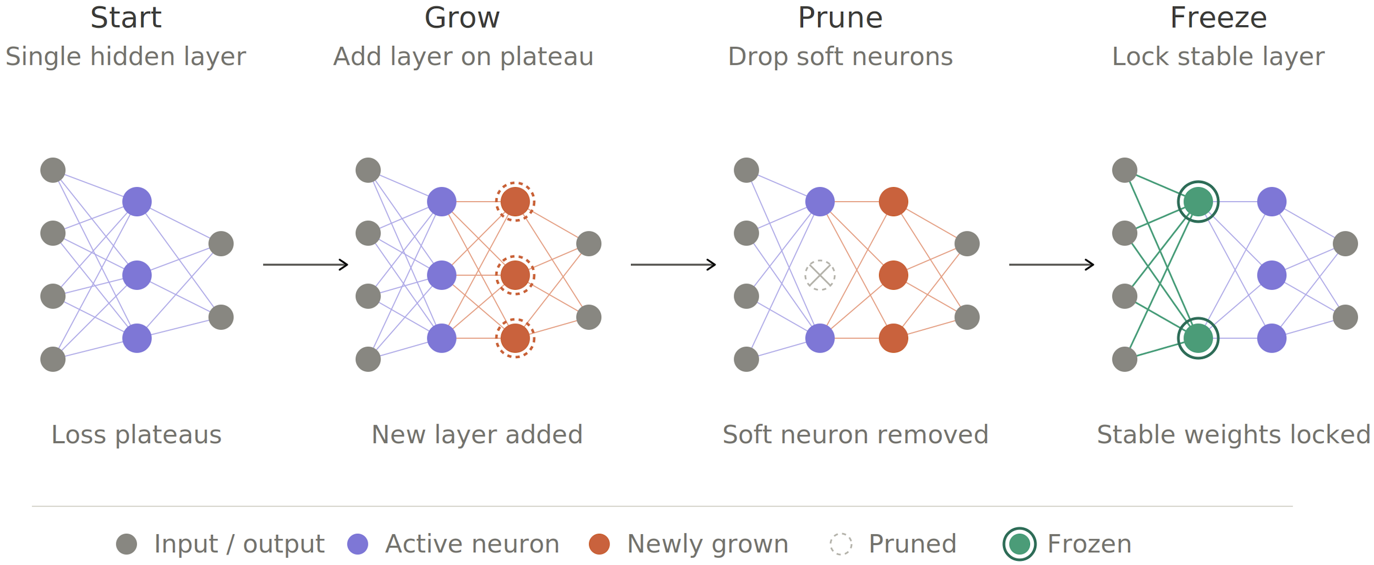 Figure 1: Conceptualization of a Grow-Prune-Freeze (GPF) neural network.