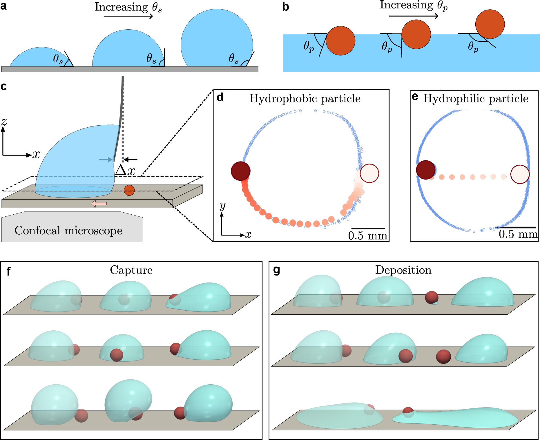 Figure 1: (a) Schematic of the equilibrium shape of a drop as a function of \theta_s. (b) Schematic of equilibrium position of a particle at a liquid-air interface as a function of \theta_p. (c) Experimental setup to image drop-particle interaction and to measure horizontal forces. (d) Horizontal slice through the center of the particle showing the trajectory of a hydrophobic particle (red) colliding with a water drop (blue contour) on a hydrophobic surface moving to the left. (e) Trajectory of a hydrophilic particle on the same surface. (f) Top and middle rows: Simulations of a drop colliding with a hydrophilic (top row) and hydrophobic (middle row) particle on a hydrophobic surface reproducing the outcomes in (d) and (e), respectively. Bottom row: On a superhydrophobic surface, a hydrophobic particle goes under the drop. (g) Top row: When the friction force is large compared to the capillary force, the particle fully enters and exits the drop. Middle row: A superhydrophobic particle detaches as it goes around the side of the drop. In this case, the particle is redeposited in a different location. Bottom row: On a hydrophilic surface (\theta_s=30^\circ here), a hydrophilic particle is deposited in a film behind the drop.