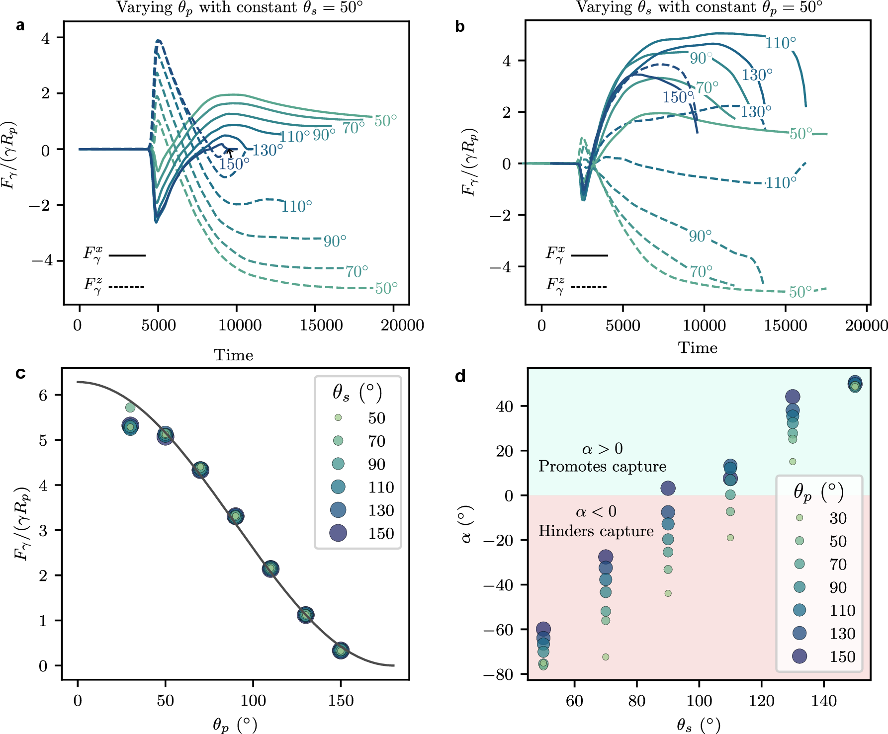 Figure 3: (a,b) Normalized capillary force on a particle as a water-air interface moved across the particle (as shown in Fig. 2a) as a function of the simulation time step. Solid and dashed lines correspond to the horizontal and vertical components of the capillary force, respectively. The line color represents different contact angles (green to blue represents increasing angle). In (a), \theta_s is kept constant at 50^\circ while varying \theta_p. In (b) \theta_p is kept constant at 50^\circ while varying \theta_s. Force curves for other values of \theta_p and \theta_s are provided in Supplementary Fig. 1. (c) Magnitude of the maximum capillary force as a function of \theta_p. The magnitude of the maximum capillary force depends predominantly on \theta_p and barely varies with \theta_s. The equation F_\gamma^\mathrm{max}= 2\pi R_p \gamma \cos^2(\theta_p/2) provides a good fit to the data, as shown by the black line. (d) Orientation of the capillary force (defined by the angle \alpha, Fig. 2a) for different \theta_p and \theta_s at the instant when the magnitude of the capillary force is maximum. \alpha increases with both \theta_s and \theta_p.