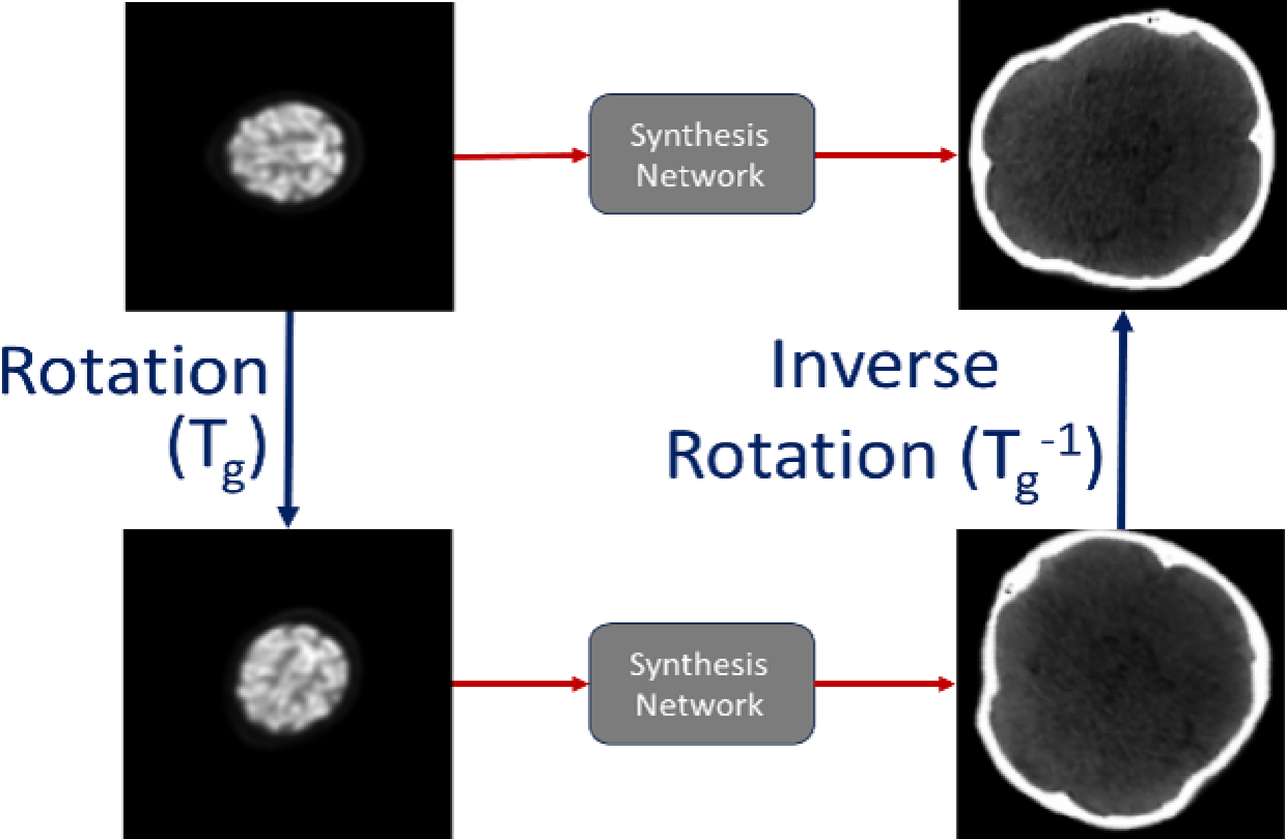 Figure 1: Rotational equivariance for multimodal PET/CT image synthesis.