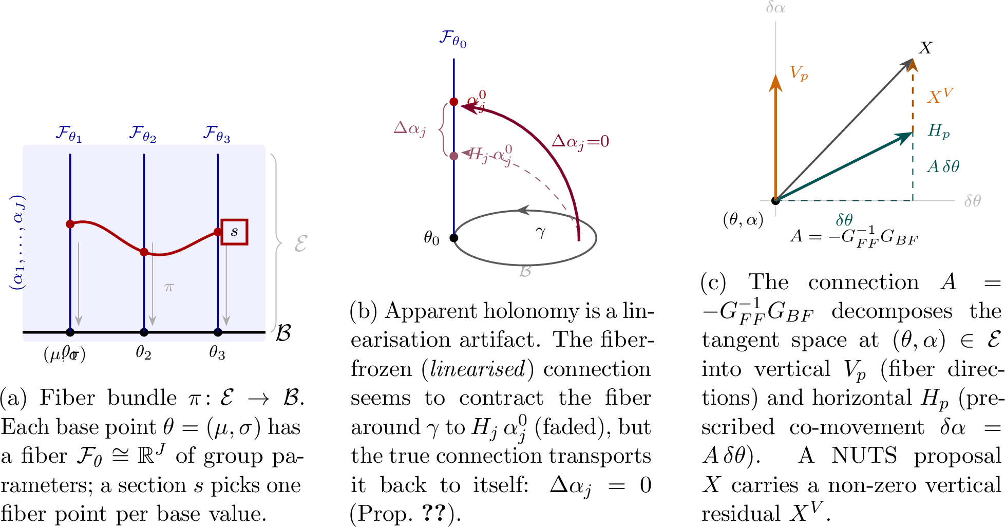 Figure 1: Geometric structure of a hierarchical posterior. (a) The joint space \mathcal{E} is a fiber bundle over the hyperparameter base \mathcal{B}; each fiber \mathcal{F}_\theta\cong\mathbb{R}^J carries the group parameters (\alpha_1,\ldots,\alpha_J). (b) The naive holonomy picture, in which a closed loop \gamma in \mathcal{B} contracts the fiber by H_j<1. This is the behaviour of the linearised connection only; we prove the true connection is flat (Prop. 4), so its holonomy is trivial. (c) The Ehresmann connection A=-G_{FF}^{-1}G_{BF} defines a horizontal subspace H_p at each point; a generic NUTS proposal X has a non-zero vertical residual X^V because the sampler does not know A.